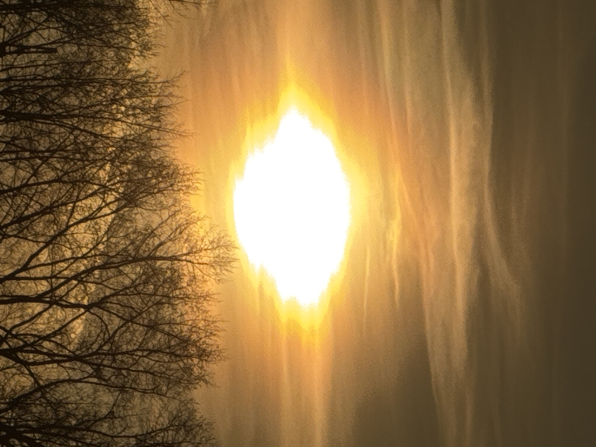 The image shows a bright, intense light source, likely the sun, appearing as a diamond shape in the center of the frame. The light is surrounded by a bright orange-yellow glow, which fades into a muted tan color towards the edges. The left side of the image features the dark silhouette of bare tree branches. Streaks of light or cloud formations are visible vertically through the center-right of the frame. The scene appears to be taken at either sunrise or sunset. Based on the user's prompt, the location is Chaikovsky, Russia.