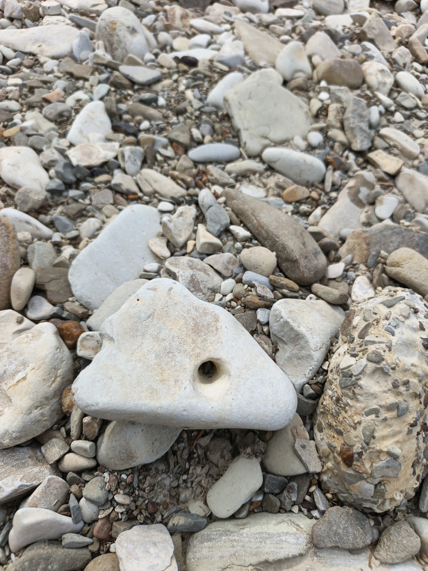 A close-up, eye-level shot shows a collection of various sized and shaped stones on the ground. The stones are predominantly light in color, with some showing variations of gray and brown. A few of the stones have smoother surfaces, while others are rougher and more textured. In the center of the frame, a light-colored, triangular stone with a hole in its surface is prominently displayed. The surrounding area is covered in a mix of smaller pebbles and dirt. The scene appears to be outdoors in a natural setting, potentially a riverbed or a gravelly path. There are no people or animals visible in the image, and no specific landmarks are identifiable to pinpoint a location within Pshada, Russia.