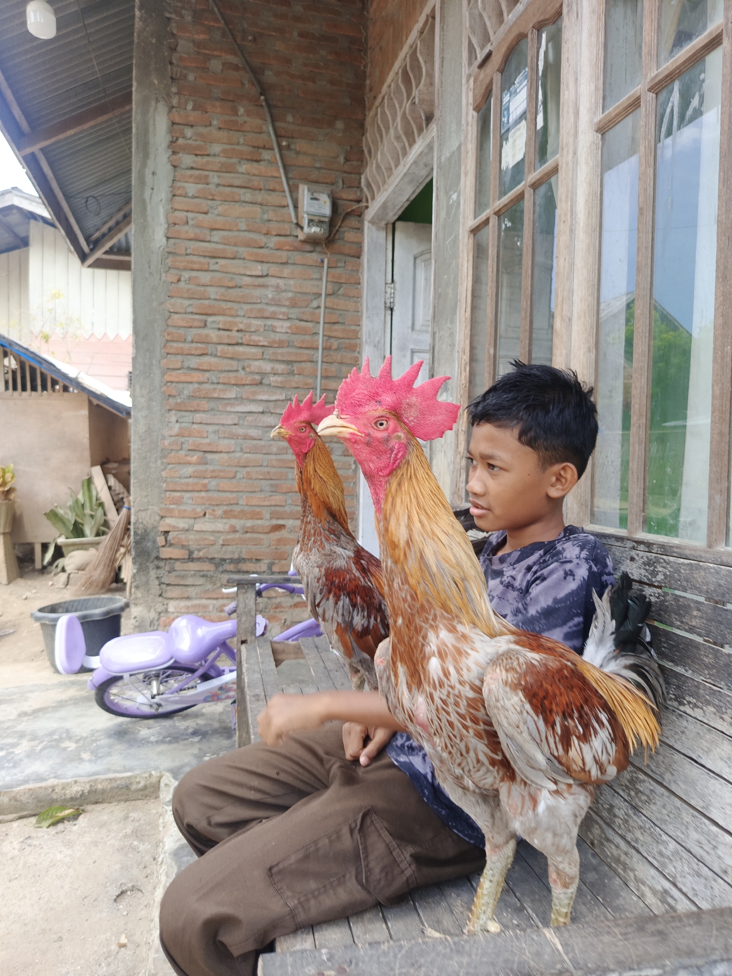 Memory