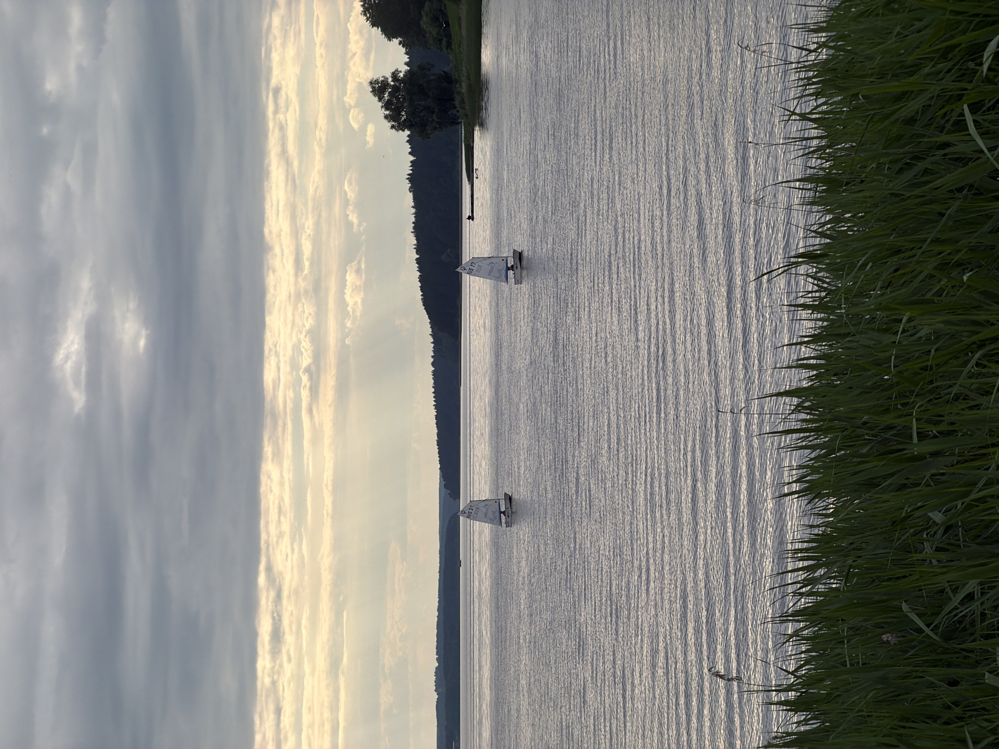 In the city of Votkinsk, Russia, on a calm body of water, two sailboats are visible. The sailboats are small, with white sails, and are positioned at a distance from each other. The water is a light gray color, with subtle ripples on its surface. In the foreground, a dense patch of tall green grass grows along the edge of the water. The background features a tree line of dark green trees, with a few scattered lighter green trees on the right side. Above the trees, a band of light yellow and white clouds is visible, with streaks of sunlight breaking through. The sky above the clouds is filled with dark gray, textured clouds. The overall scene is serene and tranquil, with a hint of natural beauty.