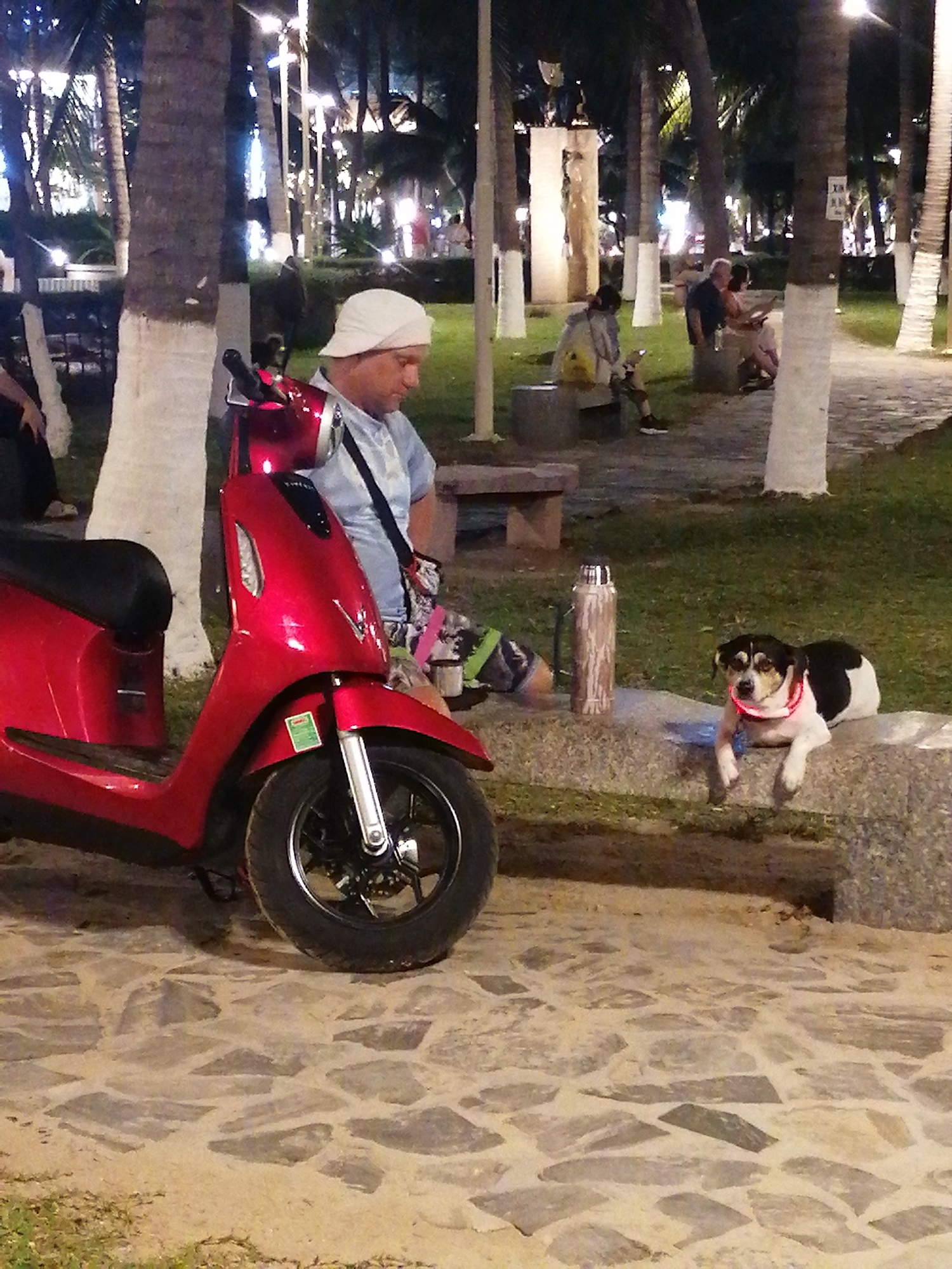 A full shot captures a man resting near a red scooter in a park-like setting in Nha Trang Ward, Vietnam. The man, wearing a white hat and light blue shirt, is seated. Beside him is a brown and silver-colored tumbler and a dog lying on a retaining wall. The dog, with black, white, and brown fur, is wearing a red collar. The red scooter is parked next to the man. The ground consists of irregular stones. In the background, trees with white-painted trunks, benches, and other individuals are visible. The scene is illuminated with street lighting, indicating it is dusk or night.