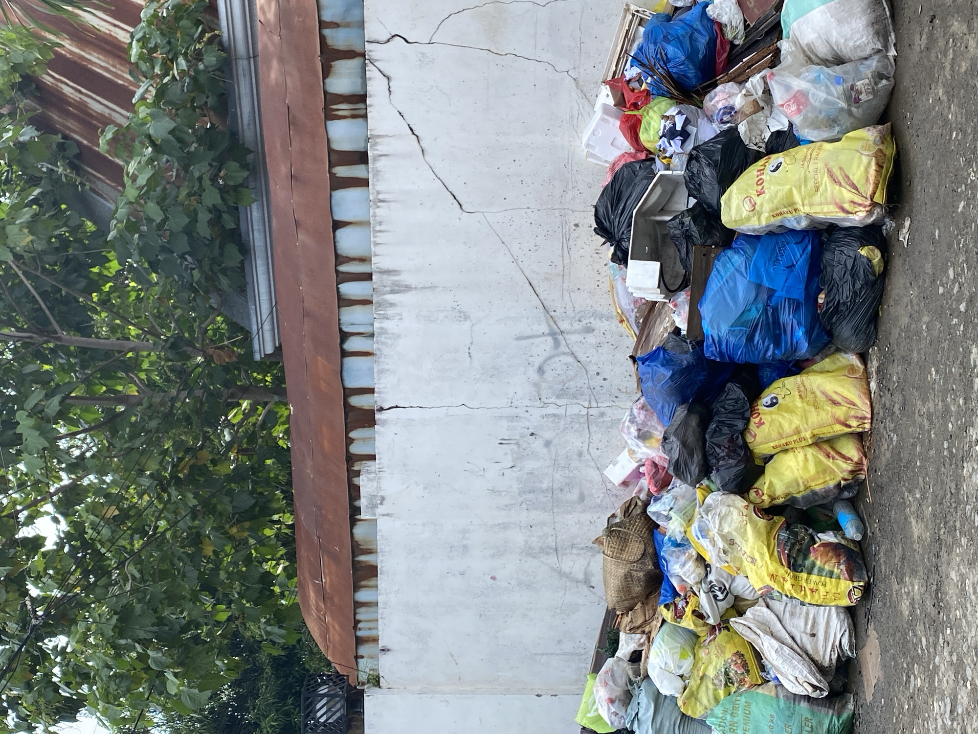 This image captures a large, unmanaged pile of refuse situated at the base of a concrete wall in Davao City, Philippines. The foreground consists of an unpaved, dark grey ground surface upon which a substantial mound of garbage is accumulated. The trash pile primarily comprises numerous plastic bags of varying colors, including yellow, blue, black, green, white, and clear. Several yellow bags are distinctly visible, with one prominently displaying "KOHAKU PLUS JASMINE SPECIAL FRAGRANT" and a stylized logo featuring a face-like design and rice stalks. Other yellow and green bags show "FARM GRITS PREMIUM." Interspersed among the bagged waste are loose items, including white styrofoam fragments, pieces of cardboard, a brown woven basket, and a light blue plastic bottle. A white, possibly ceramic or plastic, fixture is also visible within the debris.
The background features a light-colored concrete wall exhibiting prominent cracks and areas of staining and discoloration. Above the wall, a corrugated metal roof, severely rusted to a reddish-brown color, displays vertical streaks of darker oxidation. Beyond and above the roof, dense green foliage from trees is visible, suggesting an area with significant vegetation. No individuals are present in the scene.