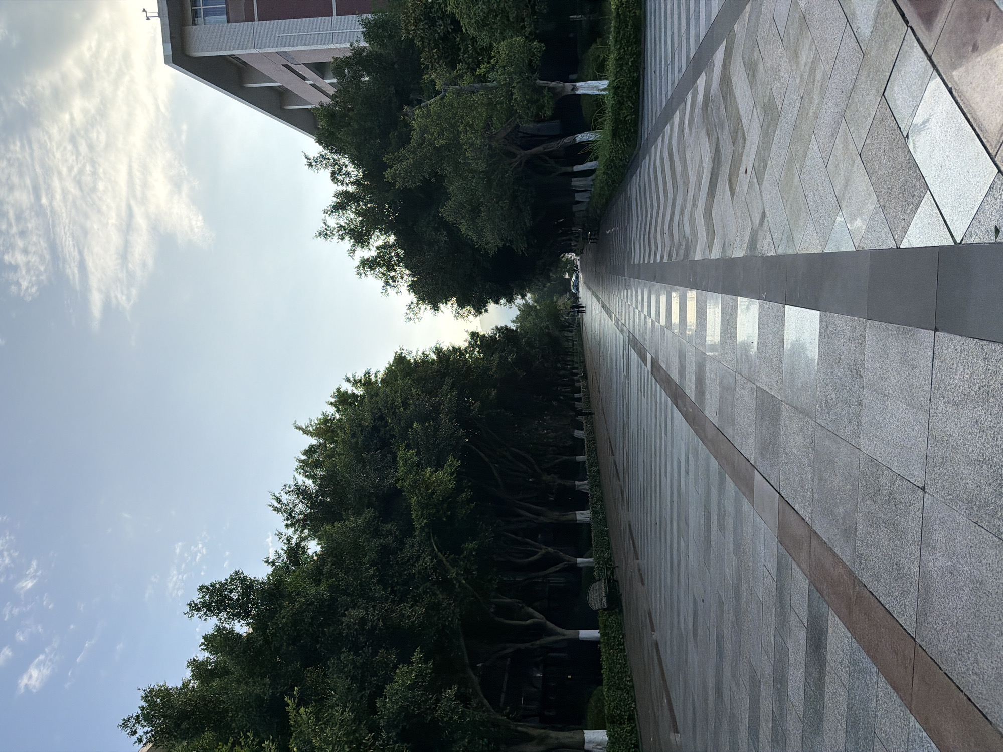 The image depicts a long, paved walkway in the Chongqing High-tech Zone, China. The walkway is bordered by trees on both sides. The trees have been marked with what appears to be white paint around their trunks. There are a few people at the end of the walkway and a car. The sky is visible above the trees. There are some buildings on the left-hand side. The walkway has a center section of interlocking pavers, with solid stone on either side.