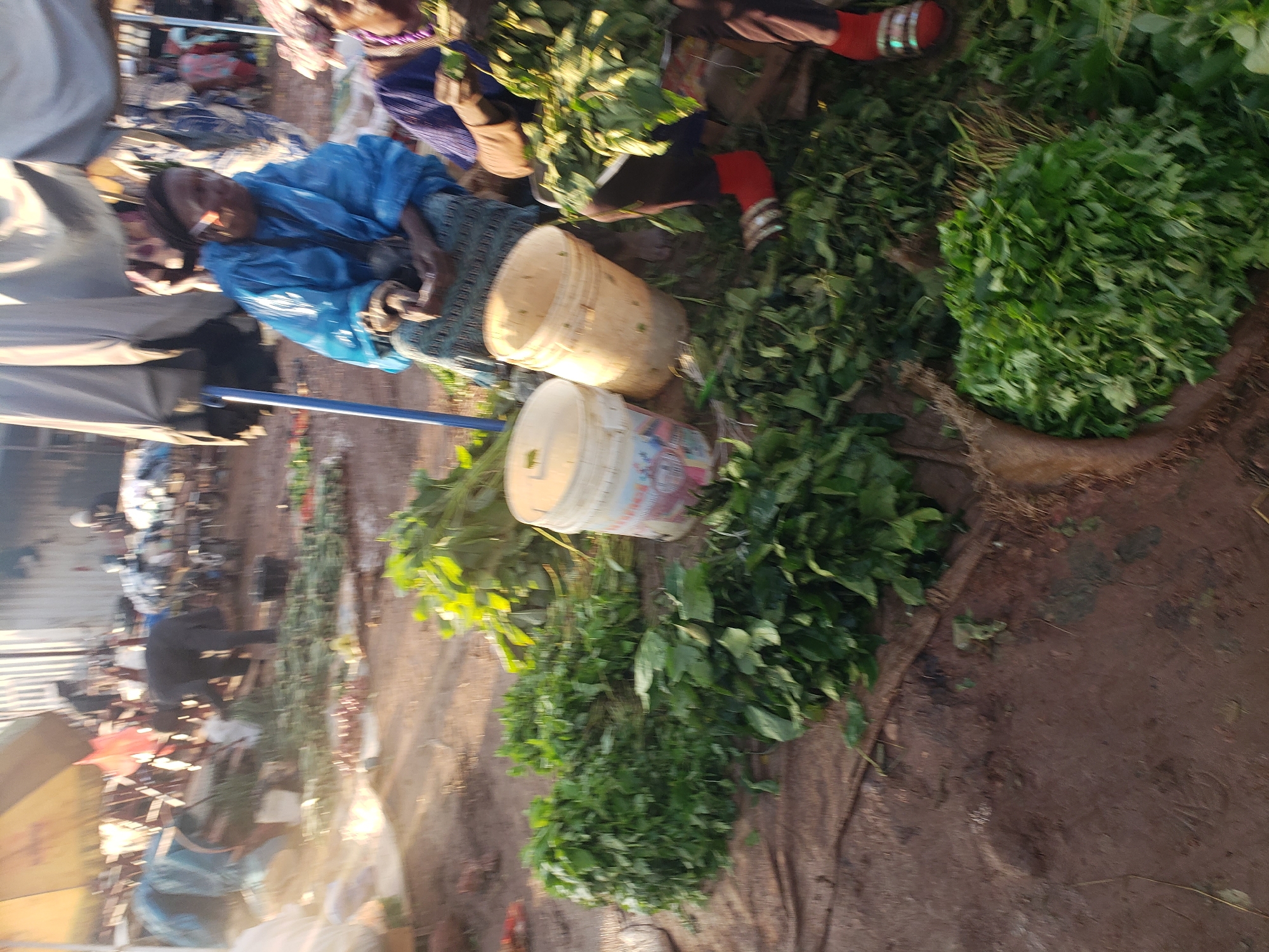 The image depicts a bustling market scene in Kakuri Gwari, Nigeria. In the foreground, large piles of freshly harvested green leafy vegetables are arranged on the ground and in burlap sacks. Two women are prominently featured in the mid-ground. One woman, seated and wearing a bright blue rain jacket, appears to be interacting with the vegetables. Beside her, another woman in a purple garment is also engaged with the produce, holding some leaves in her hand. Two large plastic buckets, one light cream-colored and the other off-white with colorful markings, are placed near the women. The ground is dirt, with scattered leaves and debris. In the background, other market stalls and people are visible, suggesting a lively commercial environment. The lighting suggests it is daytime, possibly late afternoon given the long shadows.
