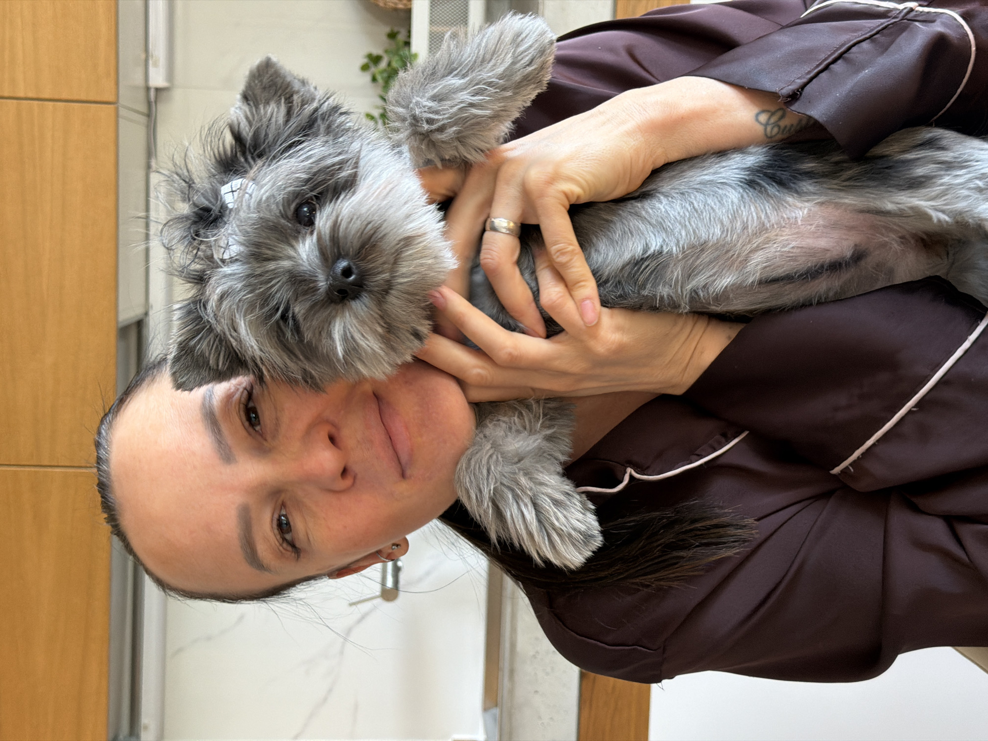 This portrait-oriented image, when correctly rotated, depicts a woman tenderly holding a small, fluffy gray and white dog indoors. The woman, who appears to be in her 30s or 40s with dark hair pulled back, gazes towards the viewer with a gentle, soft smile. She is dressed in a dark brown top with white piping, consistent with pajamas or loungewear. A plain silver-colored band is visible on her left ring finger, and a small, stylized script tattoo, which appears to start with "Cur," is inked on her right forearm near the wrist.
She is cradling the dog close to her chest, with its head resting near her cheek. The dog, resembling a miniature schnauzer or similar terrier mix, has expressive dark eyes, a black nose, and a small white and black plaid bow or clip secured in the fur above its left eye. Its front paws are gently placed on the woman's arms, indicating a relaxed and affectionate interaction.
The background shows an indoor setting, likely a home in Chaikovsky, Russia, with light wooden panels on the left and a light-colored wall with a subtle pattern on the right. A hint of greenery from a plant is visible in the upper right. The soft, even lighting suggests it is daytime. The overall emotion conveyed is one of warmth, affection, and a strong bond between the woman and her canine companion.
