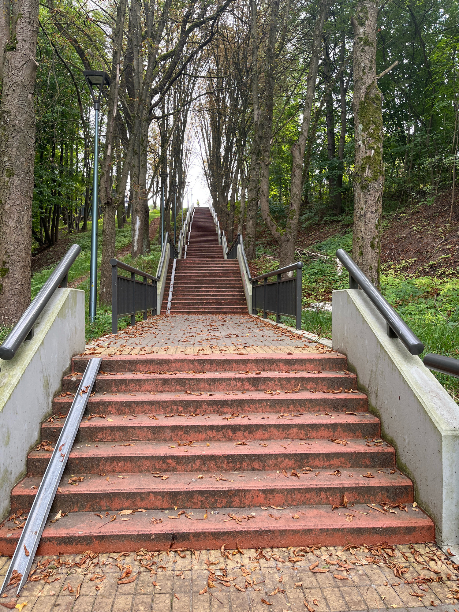 A wide, outdoor concrete staircase with red-painted treads and a paved walkway leading up it, bordered by trees on either side, is shown. The walkway and stairs are scattered with fallen brown leaves, indicating an autumn setting. Metal handrails run along both sides of the staircase, supported by concrete walls. There is a metal ramp running down the side of the first few stairs. A single person is visible in the distance at the top of the stairs. The environment suggests a park or a wooded area within the city of Kaunas, Lithuania, possibly a public park or a scenic route.