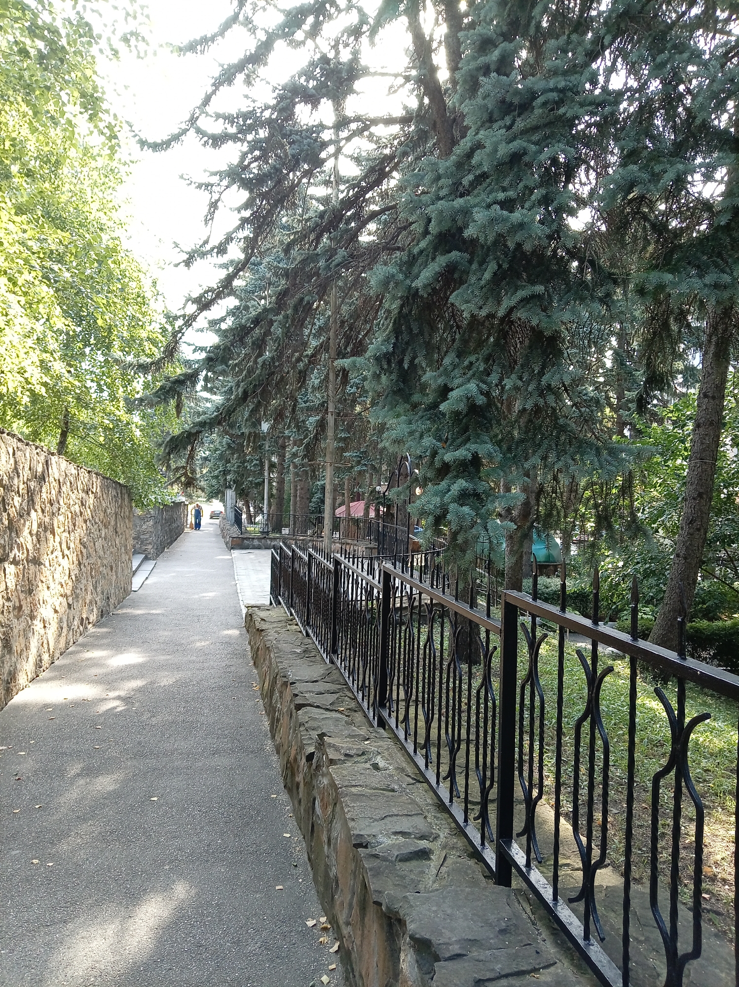 The image shows a paved walkway bordered by a stone wall on the left and a black wrought-iron fence on the right. The walkway recedes into the distance where two individuals are walking. The right side of the walkway is lined with mature pine trees, their branches casting dappled shadows on the path. The background reveals more greenery and trees. The scene appears to be a park or a pedestrian area within the city of Zheleznovodsk, Russia, possibly near the spa facilities given the presence of such walkways and mature trees. The lighting suggests it is daytime, with sunlight filtering through the trees.