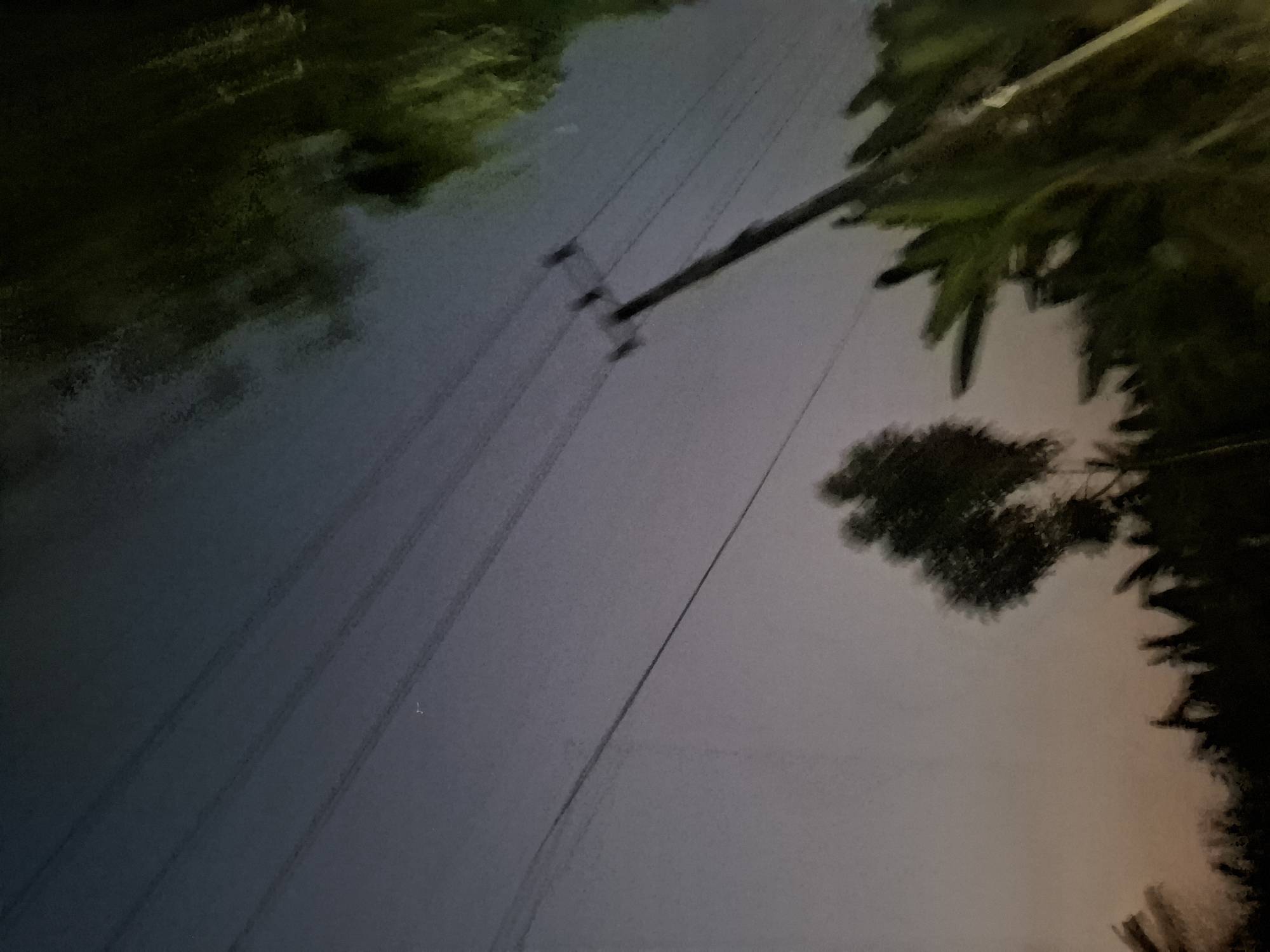The image depicts a twilight scene with a sky transitioning from a deep blue to a pale orange near the horizon. Several power lines stretch across the frame, supported by a wooden utility pole visible on the right side. Below the power lines, silhouetted trees and foliage create a dark, indistinct landscape. The overall impression is one of an outdoor setting in Bulubrangsi, Indonesia, likely near a rural or semi-rural area given the presence of the power lines and natural vegetation. There are no people or discernible actions taking place.