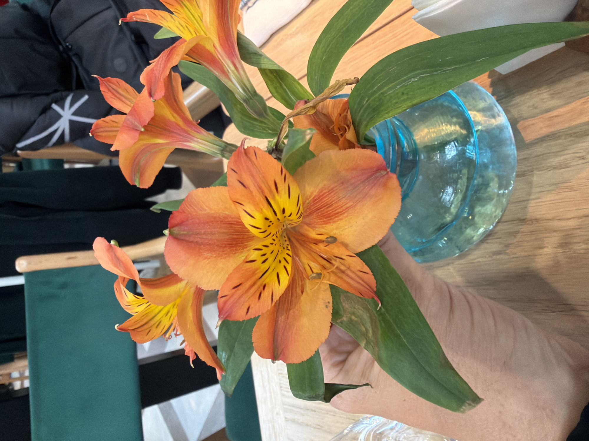 An overhead shot shows a hand holding a stem of orange alstroemeria flowers, with a few other stems and green leaves in a small, aqua-colored glass vase on a wooden table. The flowers are in full bloom, with vibrant orange and yellow petals and dark speckles on the inside. The vase is partially filled with water. In the background, there are glimpses of dark fabric, a green chair, and light-colored furniture. The scene appears to be indoors, possibly in a cafe or restaurant. The location of Khimki, Russia is not discernible from the image.