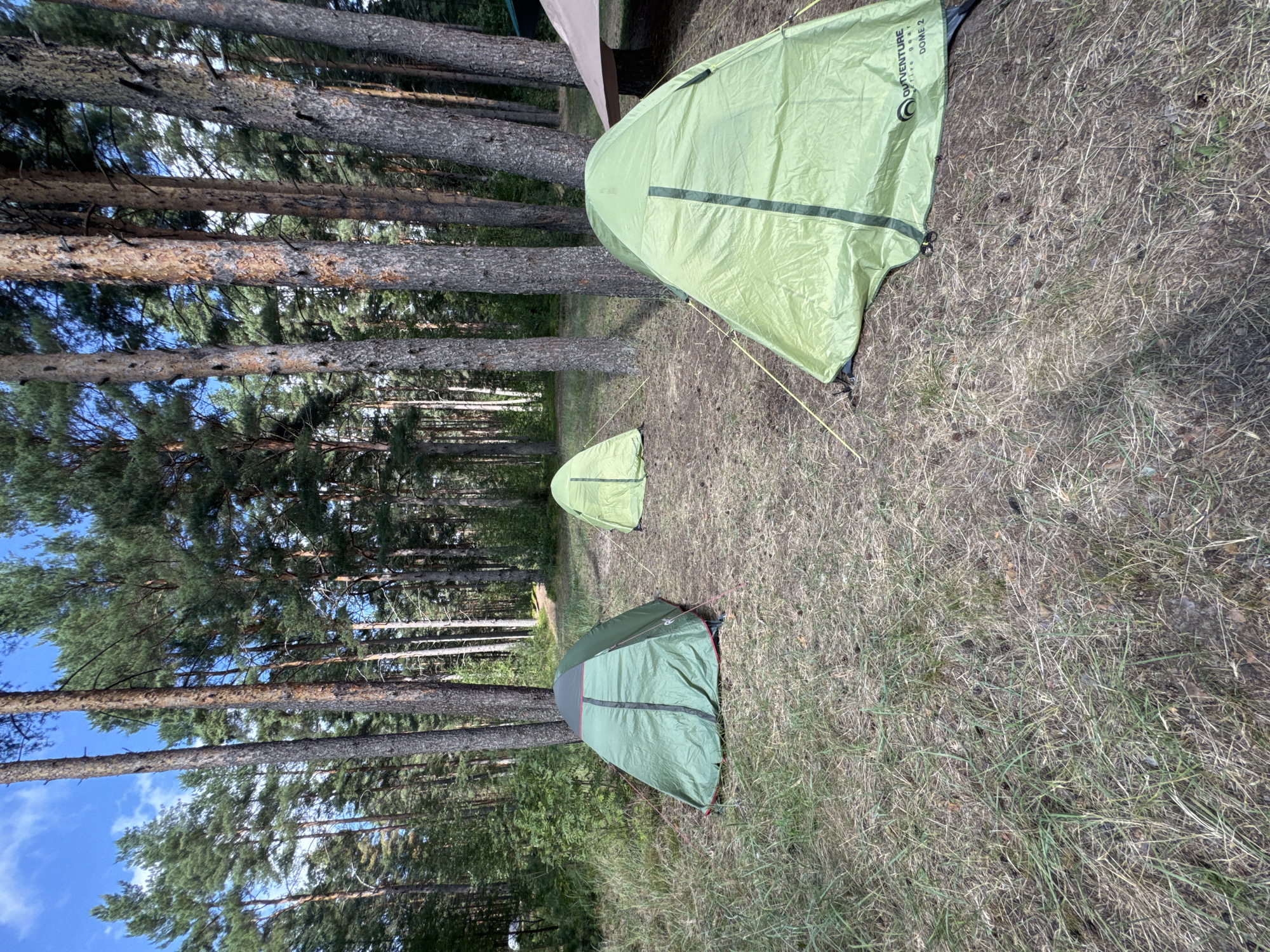 A camping scene is depicted in a forest in Portovoe, Russia. Three green tents are pitched on a grassy and pine-needle-covered ground. The foreground tent is on the right, with its entrance flap partially open, revealing a dark interior. A second tent, also green, is situated to the left and slightly behind the first, with its entrance zipped closed. A third, smaller green tent is visible further back and to the left, near a patch of dense green foliage. Tall pine trees with rough bark dominate the background, forming a dense forest canopy. The sky above is blue with scattered white clouds. A light brown tarp is visible in the far right background. The scene is an outdoor setting, likely a campsite within a forest.
