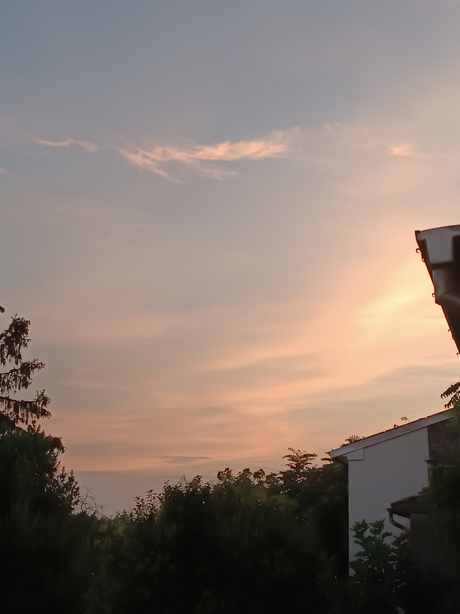 The image depicts a dusky sky over a residential area, likely in Viadana, Italy, given the architectural style of the houses and the lush greenery. The sky is painted with soft hues of blue, pink, and orange, suggesting a sunset or sunrise. Wispy clouds are scattered across the upper half of the frame, catching the fading light.
In the foreground, the dark silhouettes of trees and foliage frame the scene. On the right, the roofline of a white house with a tiled roof is visible, along with a gutter system. Another roof section, appearing darker and possibly made of metal, juts out from the top right corner. The overall atmosphere is tranquil and serene, capturing a quiet moment in an urban or suburban setting. There are no people or animals visible in the image.