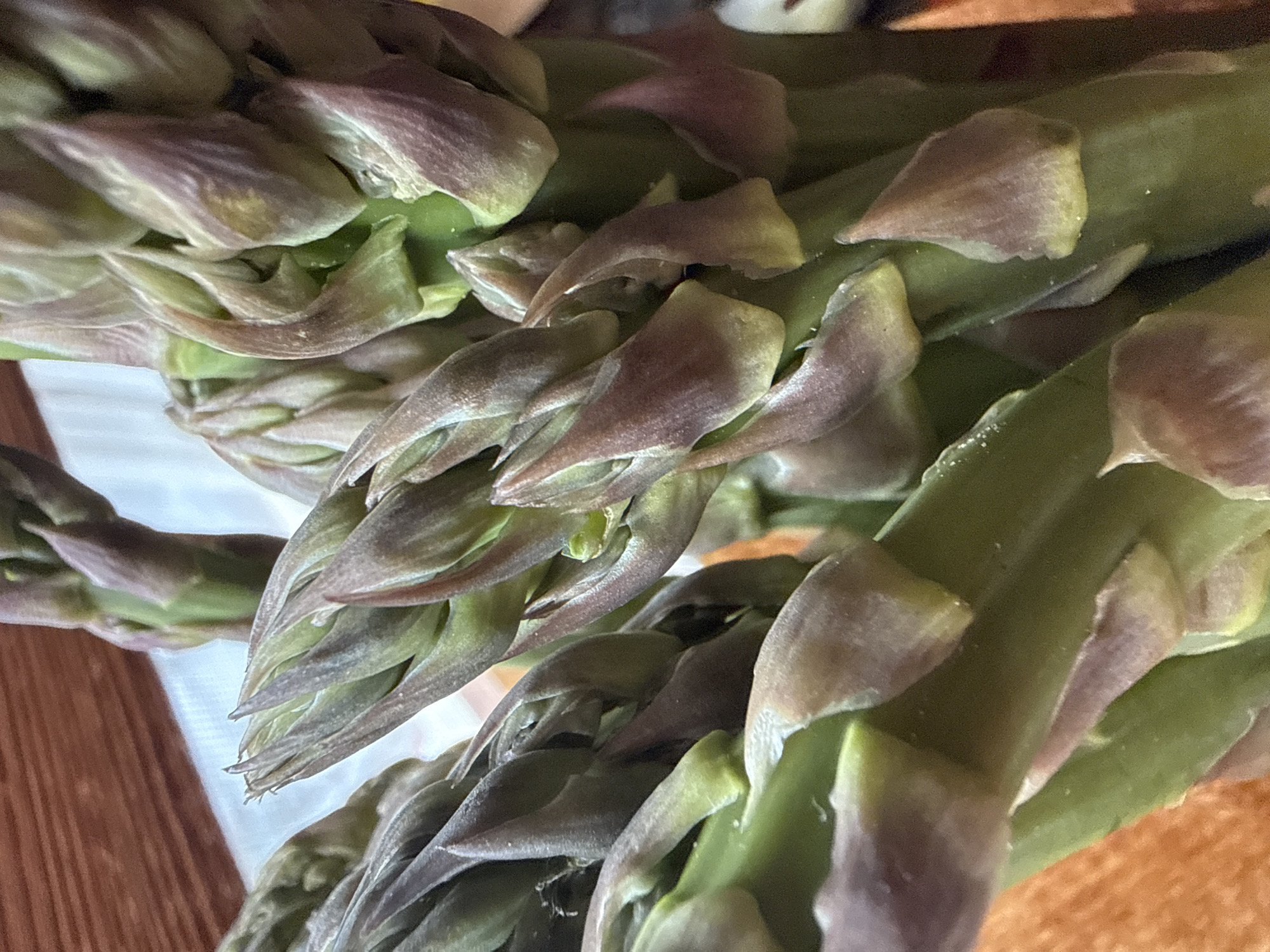 A close-up shot shows several spears of fresh, green asparagus. The tips of the asparagus spears display a blend of green and purplish hues. Small, pointed scales tightly cover the tips. The asparagus is positioned on a surface with wooden and white textile elements, suggesting a table or countertop. The location in Troyan, Bulgaria, is not explicitly visible in the image.