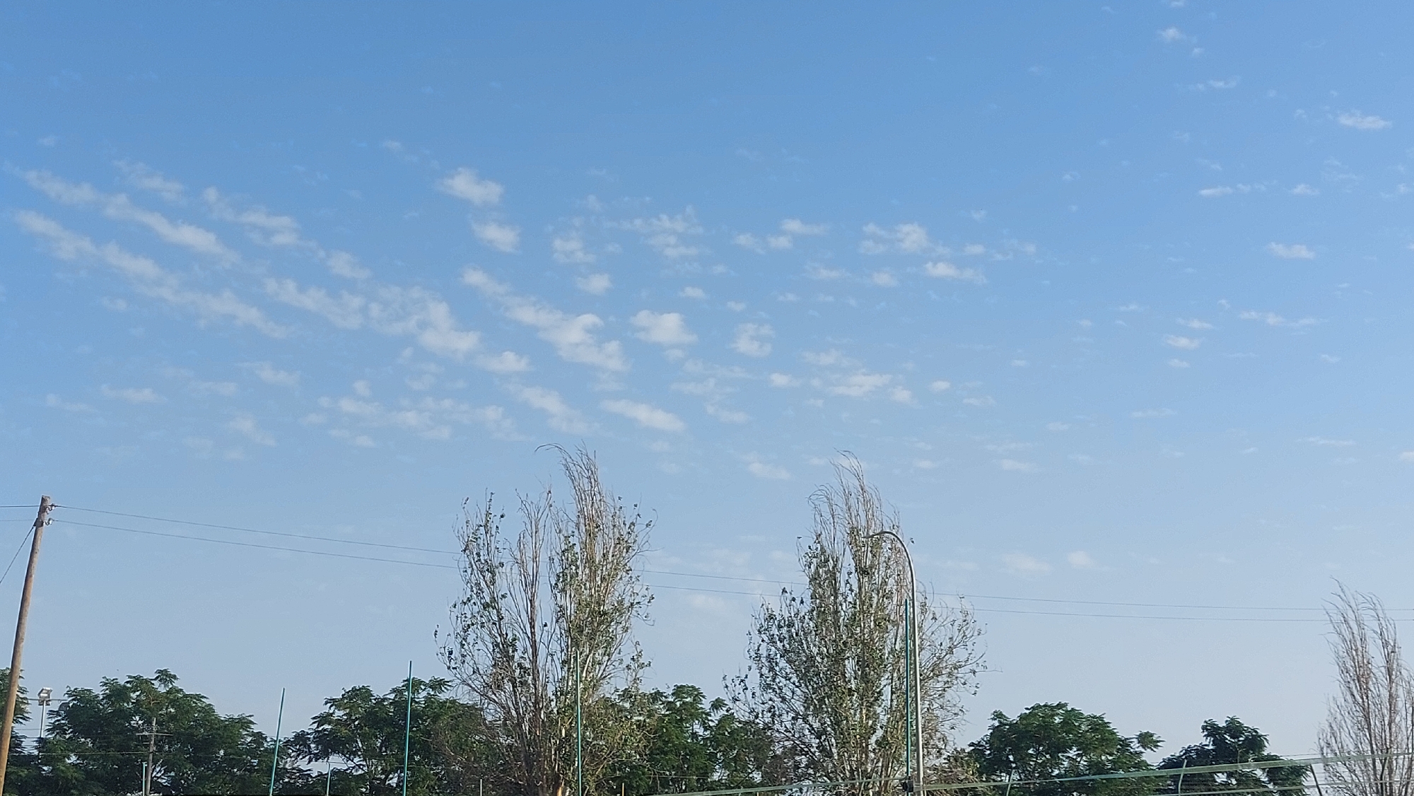 The image shows a bright, clear blue sky with scattered wispy white clouds. In the foreground, there is a line of lush green trees. Two tall, slender trees with sparse foliage stand out prominently in the center. Power lines are visible running horizontally across the image, supported by a wooden pole on the left. The scene appears to be an outdoor area, possibly a park or a field, with elements of urban infrastructure. There are no people or animals visible in the image. The lighting suggests it is daytime.