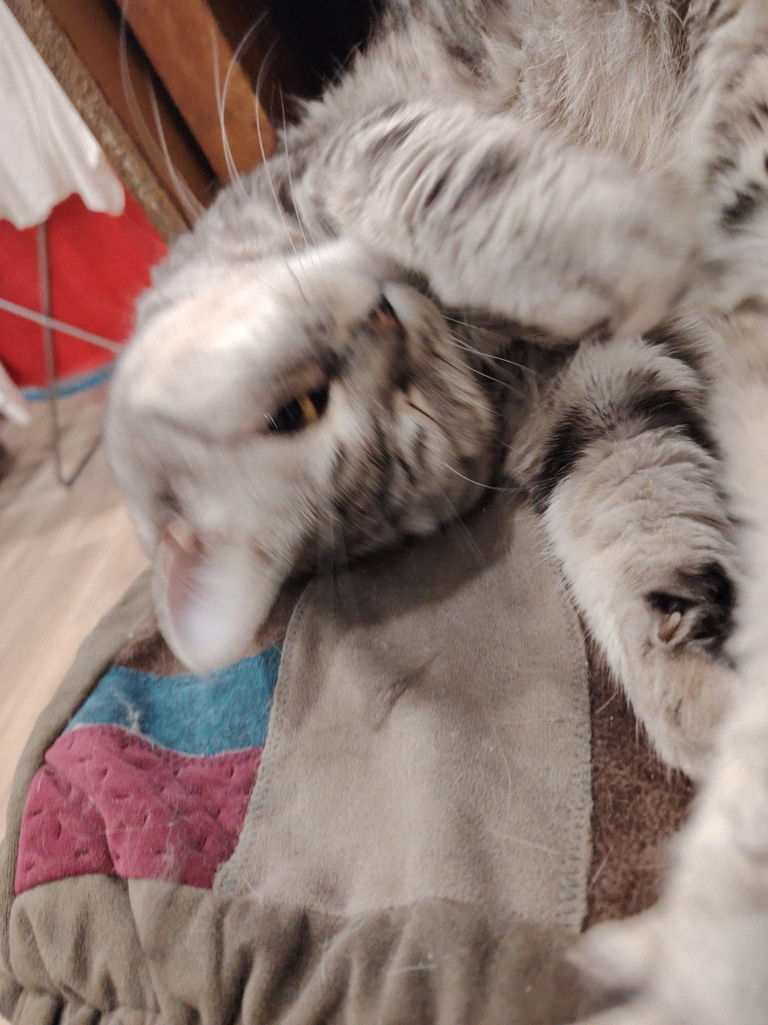 A gray tabby cat is lying on a cushioned surface with multicolored fabric sections, consisting of pink, blue, and gray hues. The cat is positioned upside down with one eye visible, and its paws are close to its face. The background includes blurred glimpses of wooden furniture and a red and white object.