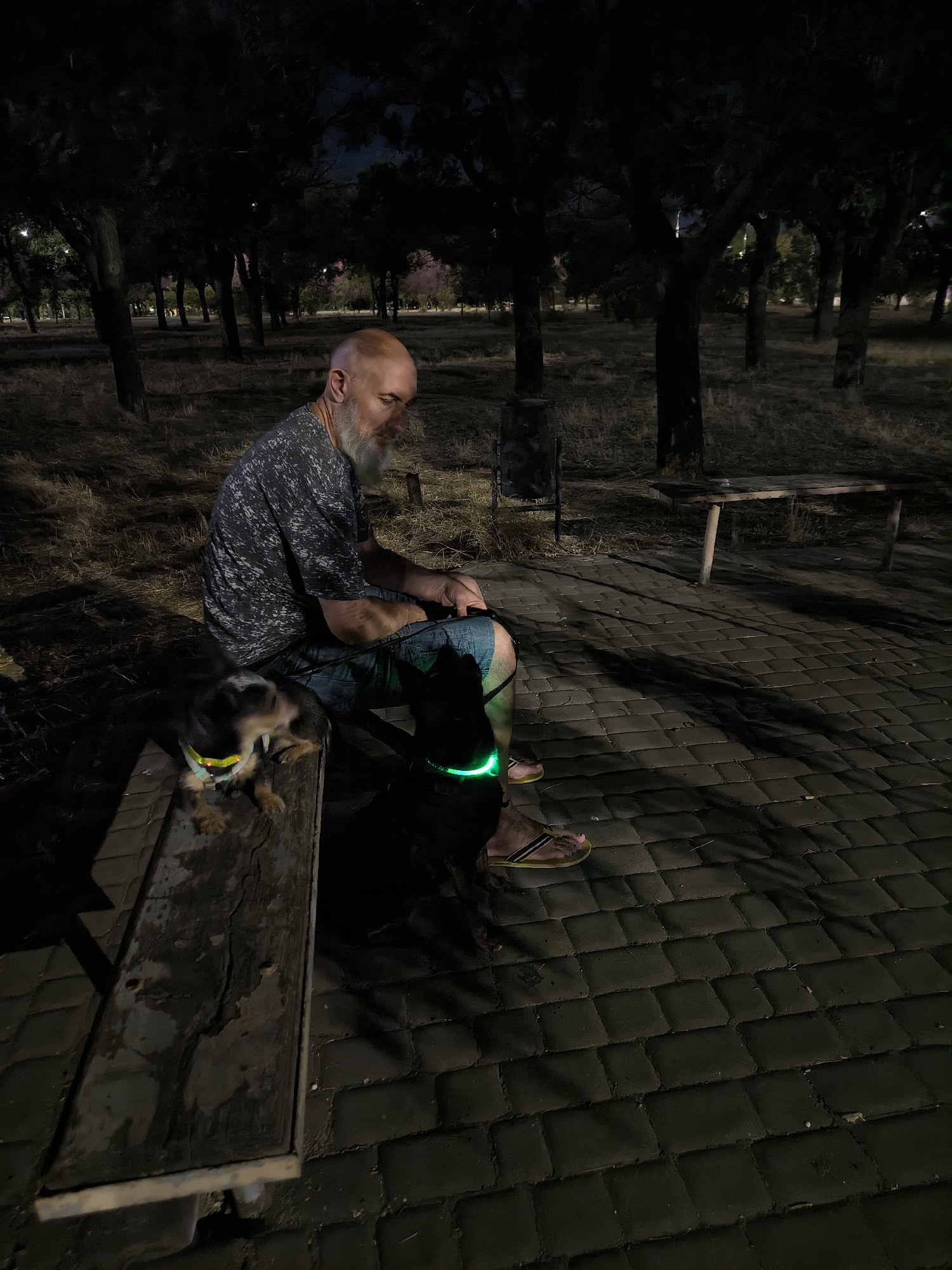 A bald man with a beard sits on a wooden bench at night, next to a small dog. Both are illuminated by a neon green collar on the dog and another on the man's leg. The man is wearing a grey patterned t-shirt and blue shorts. The dog is lying down on the bench. The background shows a park with trees, dry grass, and a paved pathway. A trash can and a wooden table are also visible in the distance. The scene is likely in a park in Mykolaiv, Ukraine, given the context of the provided location.