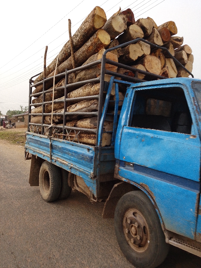 A blue, older model flatbed truck is captured from a slightly elevated side angle, heavily loaded with numerous cut logs. The truck is driving on what appears to be a paved road, possibly asphalt, which shows some wear and dust.
The truck itself is a prominent feature, painted in a faded, somewhat dirty blue. There are visible signs of wear and tear, including rust around the wheel arch of the cab and along the body panels. The cab window on the passenger side is visible, but the interior is indistinct. The truck features dual wheels on its rear axle, indicating its capacity for heavy loads, and the tires appear sturdy, though the wheels have a rustic, possibly rusty, hub.
Secured within a dark-colored, cage-like metal frame built onto the truck bed, the logs are stacked high, exceeding the height of the cab. The logs vary in size but are generally thick, with rough bark visible on some and clear-cut ends on others, revealing the light-colored wood grain. Two slender, unhewn sticks or smaller logs are propped vertically against the front of the log pile, extending above the main load, possibly serving as additional support or markers.
In the background to the left, partially obscured by the truck's structure, are hints of a rural or semi-urban setting. Distant buildings or structures can be seen, along with a few blurry figures of people. Utility poles and power lines crisscross against a bright, overcast or hazy sky. The overall impression is of a working vehicle transporting lumber, likely for construction or fuel, in a practical, unadorned manner. The time of day appears to be daytime, with soft, diffused light, suggesting a cloudy day or early morning/late afternoon. No discernible text is visible on the truck or in the surroundings.