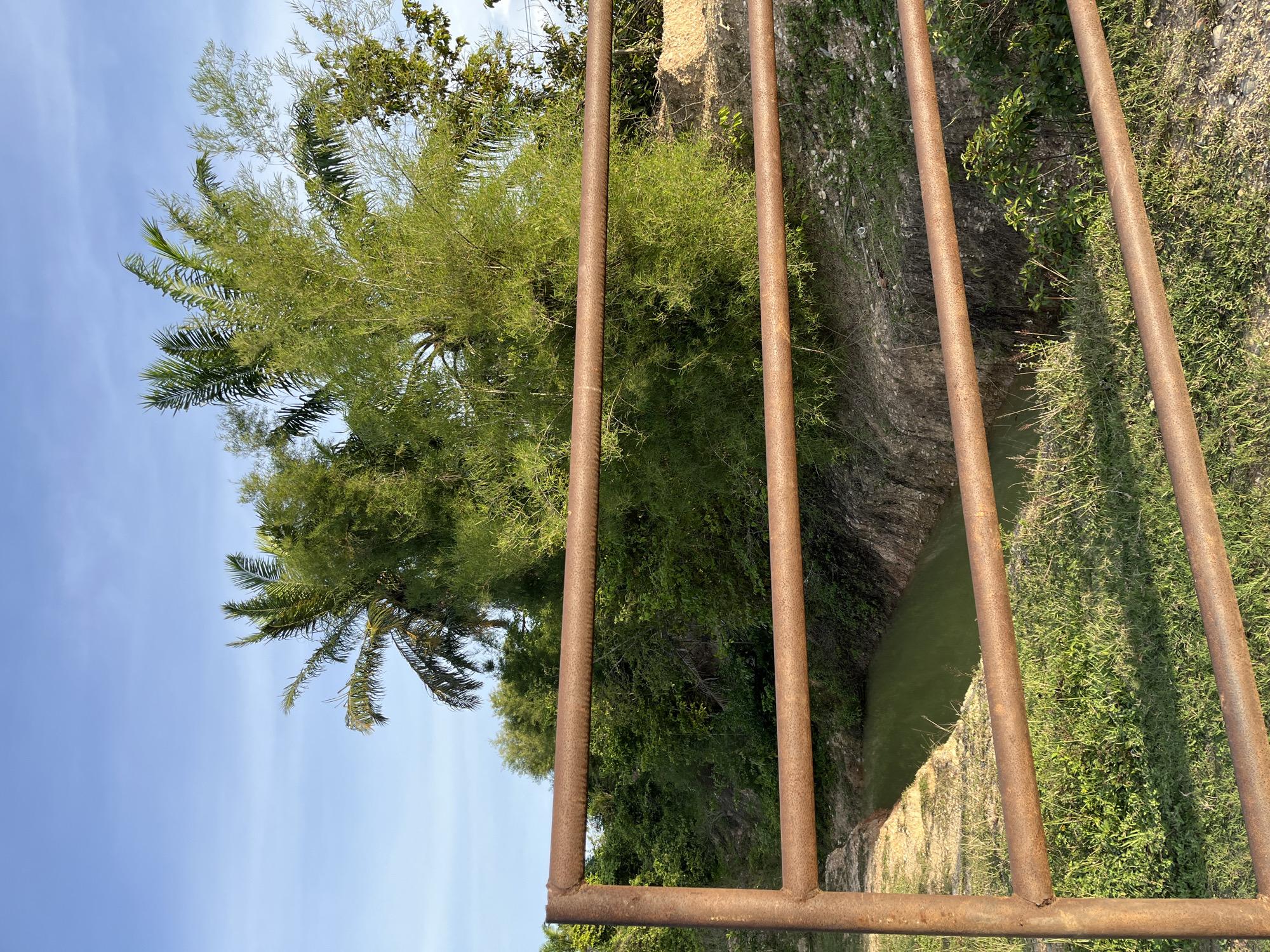 The image depicts an outdoor scene with a rusty metal gate in the foreground, consisting of two horizontal bars. Beyond the gate, there is a narrow, green body of water, possibly a ditch or small canal, with muddy banks. Lush green vegetation, including palm trees and bamboo-like plants, grows abundantly on the opposite bank and in the background. The sky above is a clear blue with some faint white clouds. The overall impression is of a rural or semi-rural environment, possibly near a body of water. There is no indication of the specific location within Sukaramai Dua, Indonesia, in the image itself.
