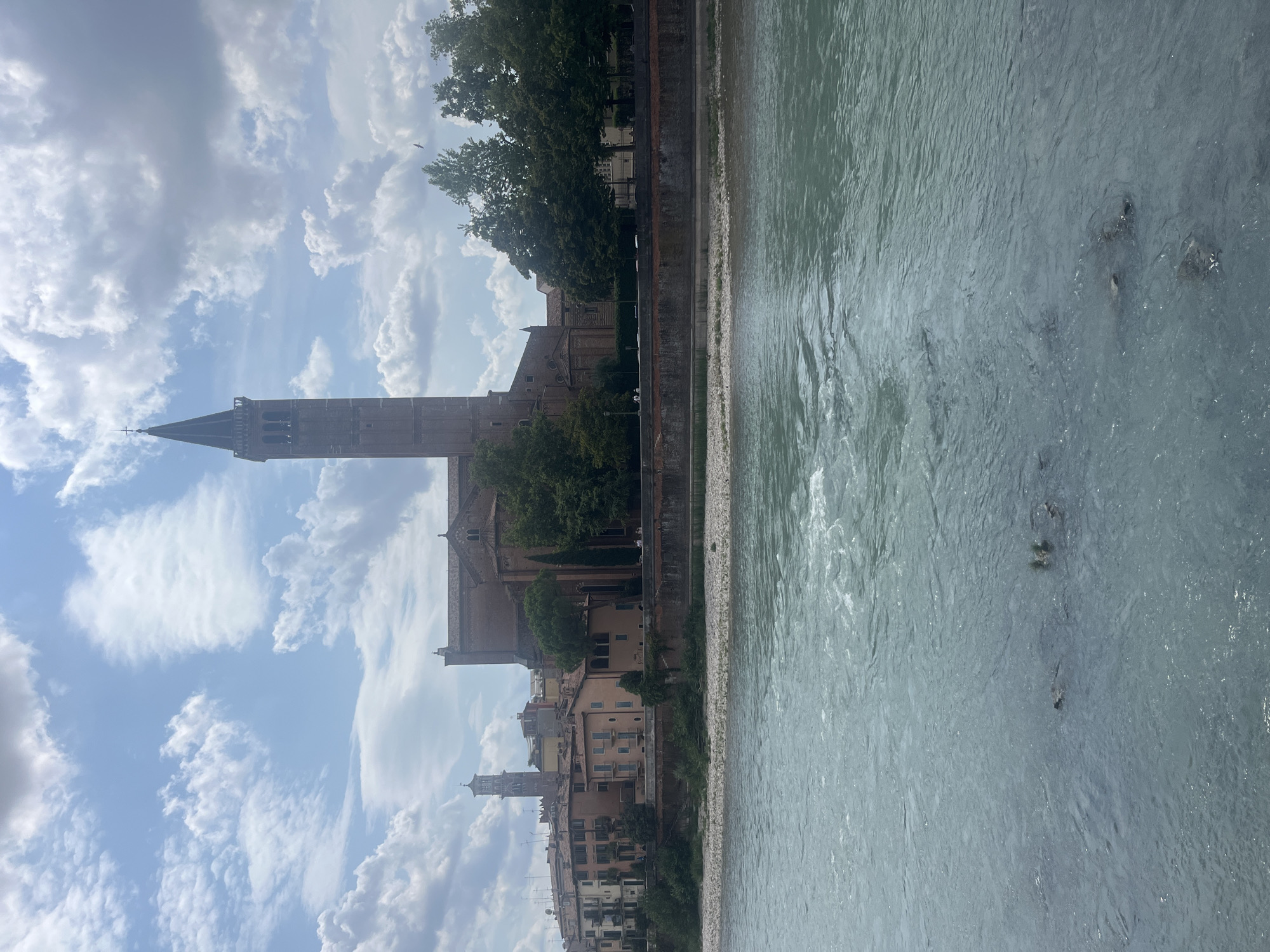 This is a ground-level, full-frame, eye-level, daylight, medium shot of the Adige River in Verona, Italy. In the foreground, the river flows, with a pebbled shore to the left and a wall bordering the river to the right. Behind the wall, a line of buildings is visible, with the prominent, tall bell tower of the Basilica di Sant'Anastasia on the far left. To the right of the bell tower, a large, reddish-brown church structure dominates the background. Mature green trees are interspersed between the buildings and the church. The sky above is partly cloudy with white cumulus clouds against a light blue sky. One bird is visible in flight high in the sky. There are no people clearly visible.