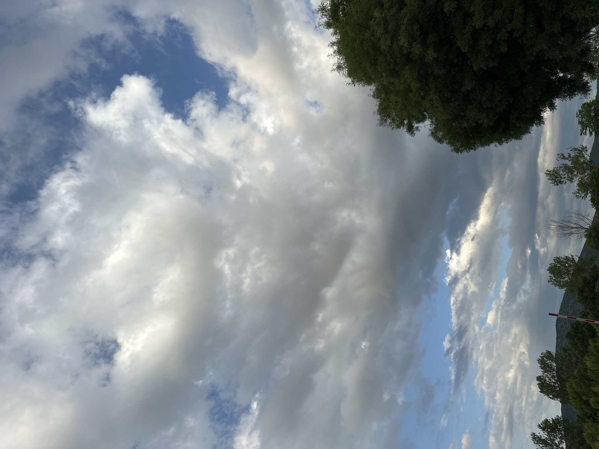 The image shows a cloudy sky over a landscape with trees and hills. A large green tree dominates the right side of the frame. The sky is a mix of white, grey, and dark clouds, with patches of blue visible. In the lower part of the image, there is a line of green trees and a distant hilly landscape. A red and white striped pole is visible on the left side of the frame, partially obscured by trees. The scene appears to be an outdoor location, possibly in a rural or semi-rural area. The specific location in Sozopol, Bulgaria, cannot be determined from the visual information alone.