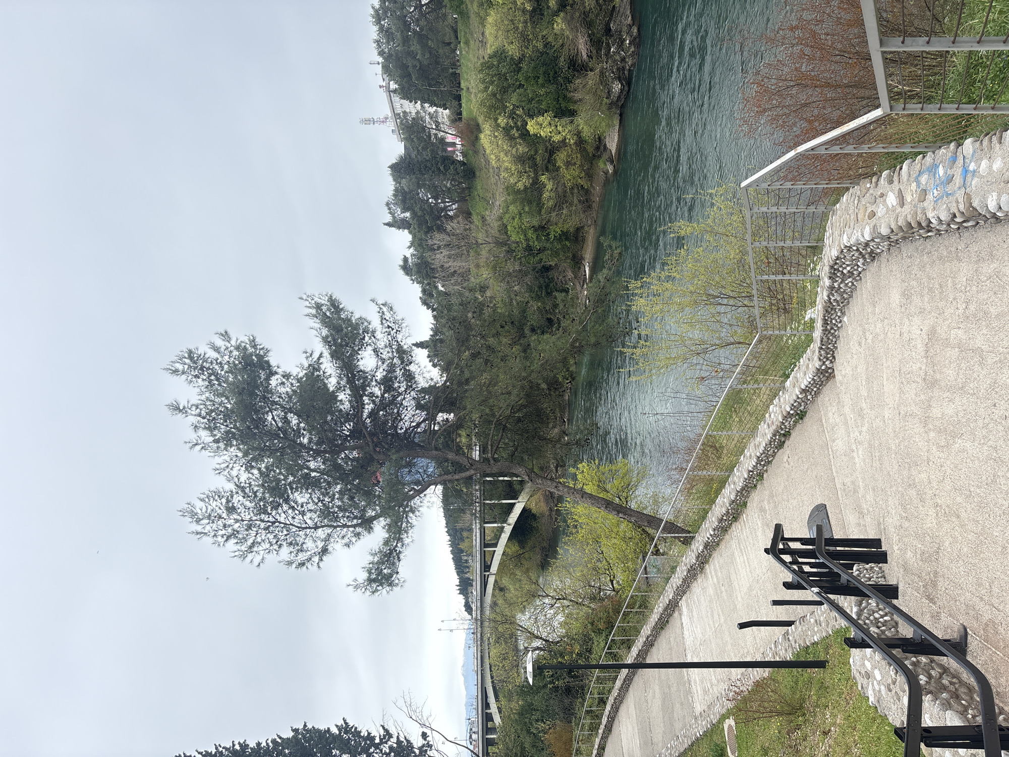The image captures a scenic view in Podgorica, Montenegro. A river flows through a forested area, with a pedestrian path running along the riverbank. The path is constructed of concrete and lined with a stone barrier and a metal railing. A large, leaning tree stands near the path, partially obscuring a white bridge that spans the river. An outdoor exercise station is positioned along the path, featuring black metal equipment. In the distance, buildings and telecommunication towers are visible on a hill. The sky is overcast.
