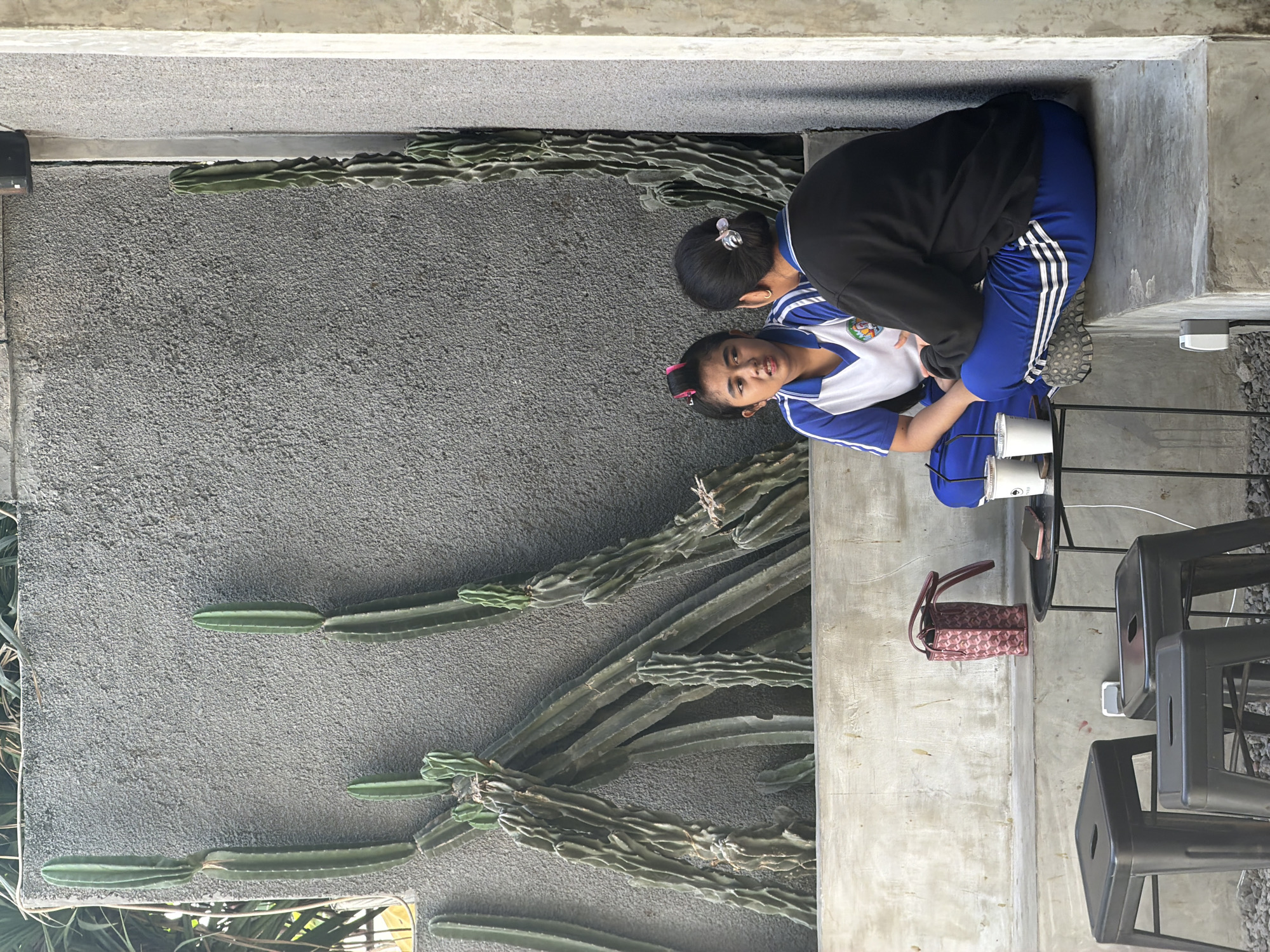 In Kuta, Indonesia, two young women are seated on a concrete ledge, engaged in conversation. The woman on the left wears a blue and white uniform with a pink hair accessory. The woman on the right is dressed in a black sweater and blue track pants. A small black table between them holds two white paper cups, a mobile phone, and a patterned maroon handbag rests on the ledge behind them. Three black stools are positioned in the foreground. The backdrop features a textured gray wall adorned with several tall, green cactus plants. The scene is outdoors, with a concrete floor and a surrounding concrete structure.