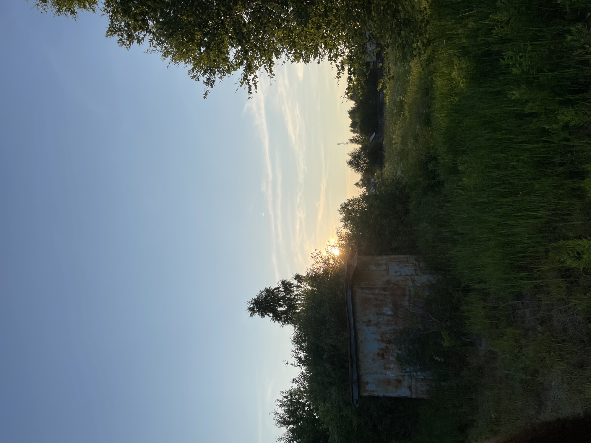 A rusty, weathered shed stands amongst overgrown vegetation under a pale blue sky with wispy clouds. The sun is setting behind a dense thicket of trees and bushes, casting a warm glow on the scene and creating sunbeams that illuminate the tall grass. The shed, made of corrugated metal, appears aged and neglected, with visible signs of rust and peeling paint. In the distance, a few scattered houses and a cell tower can be seen, suggesting the presence of a rural settlement, likely in the village of Sukhobezvodnoye, Russia. The overall impression is one of a quiet, rustic landscape at dusk.
