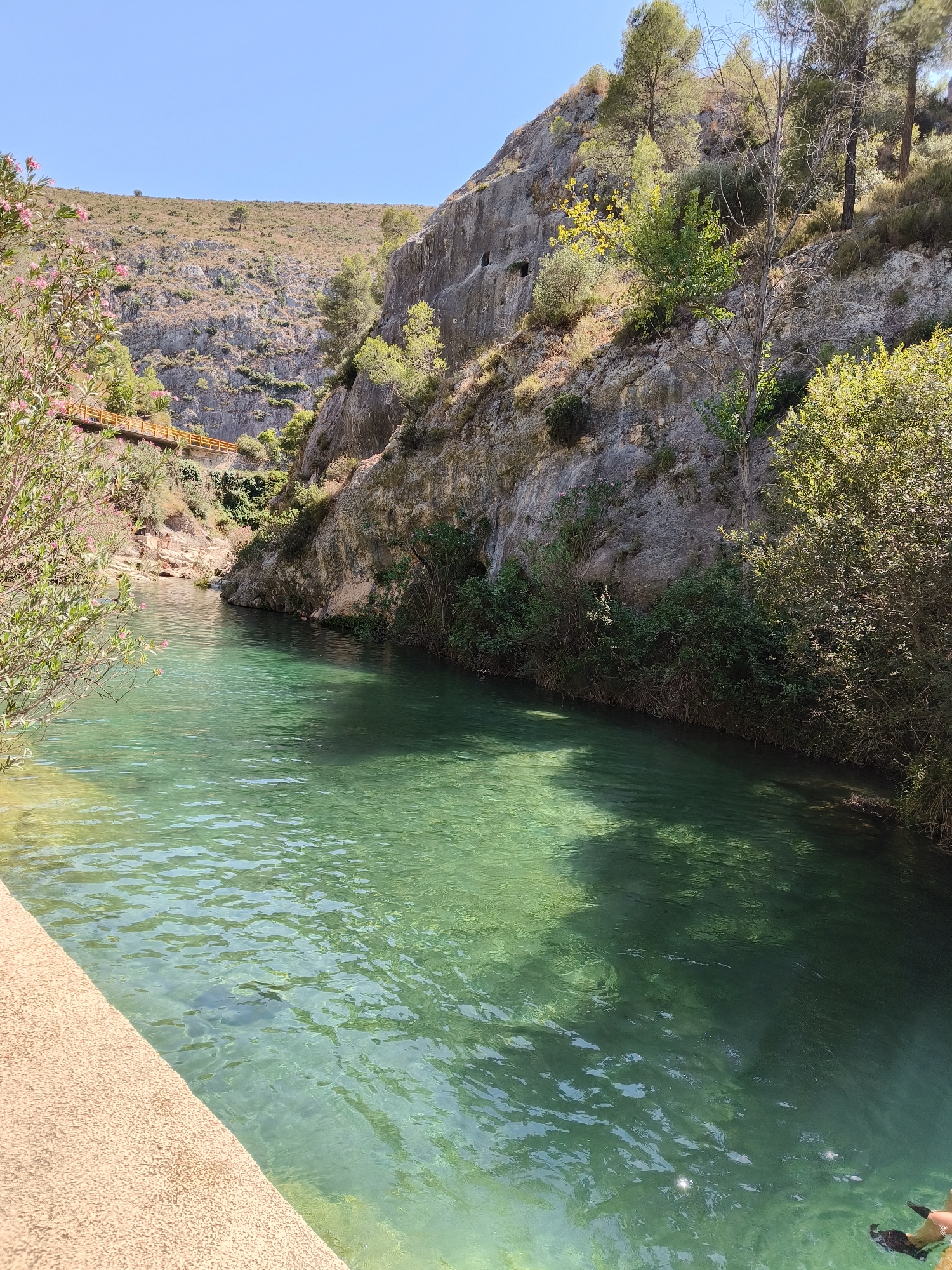 The image depicts the Pou Clar natural area, a series of natural pools formed by the Clariano River in Ontinyent, Spain. The water is clear and turquoise, with sunlight filtering through, illuminating the rocky riverbed. The surrounding landscape features steep, rugged hillsides covered in dry vegetation and scattered trees. A wooden walkway with railings is visible in the background, winding along the side of the gorge. On the left side of the foreground, a textured, light-colored concrete edge of a pool or walkway is prominent. The scene is bathed in bright sunlight under a clear blue sky. There are no people clearly visible in the main part of the image, though a partial view of a person's arm and hand holding what appears to be a dark-colored object is visible in the lower right corner, near the water's edge. The natural formations of the rock cliffs suggest a geological history of erosion and water flow.