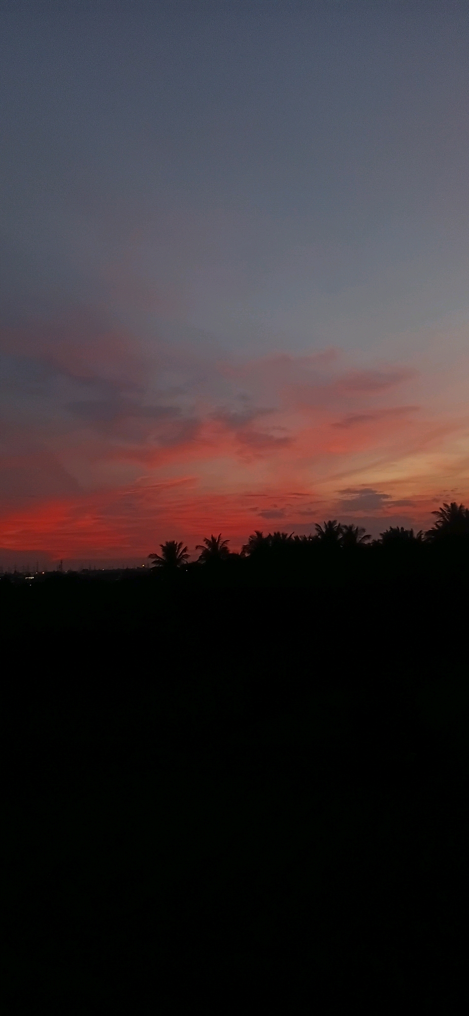 A vertical, low-angle shot captures the sky at dusk over a silhouetted landscape. The upper portion of the image features a gradient of deep blue to a lighter gray, with scattered wisps of pink and orange clouds near the horizon. Below the sky, a dense line of dark, silhouetted trees, including palm trees, forms a natural border against the vibrant sky. The bottom third of the image is completely black, obscuring any ground details. Faint lights can be seen in the distance along the horizon, suggesting a populated area. The scene is devoid of people or any discernible action. This is likely a view from the outskirts of Arishinakunte, India, looking towards the western horizon as the sun sets.