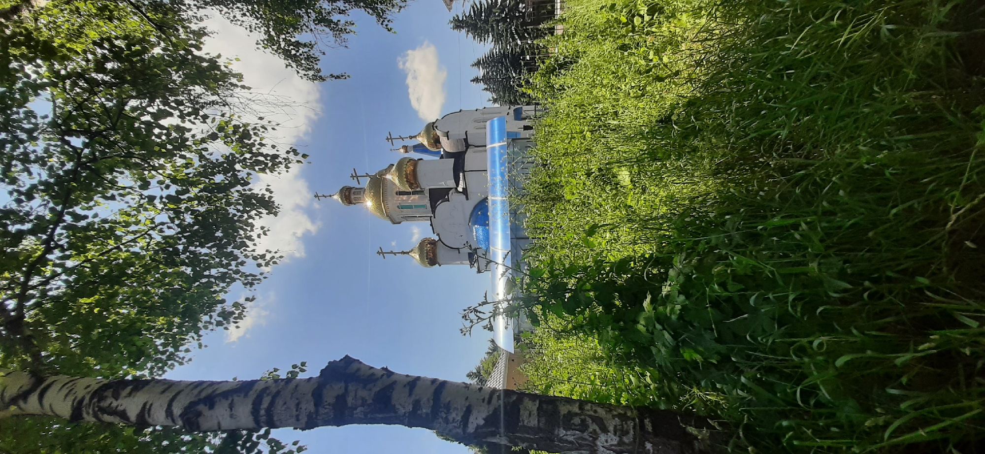 The image shows the Church of the Ascension of the Lord in the village of Yessentukskaya, Russia. The church is a white building with a series of golden domes, the largest of which is in the center, topped with a cross. Additional smaller golden domes and blue domes are visible. In the foreground, tall green grass and foliage obscure the lower part of the church and a structure with a blue, translucent roof. To the left, a birch tree with distinctive black and white bark stands prominently. The background features a bright blue sky with scattered white clouds and dark green coniferous trees. The overall scene is bathed in sunlight, suggesting a clear day. No people are present in the image.