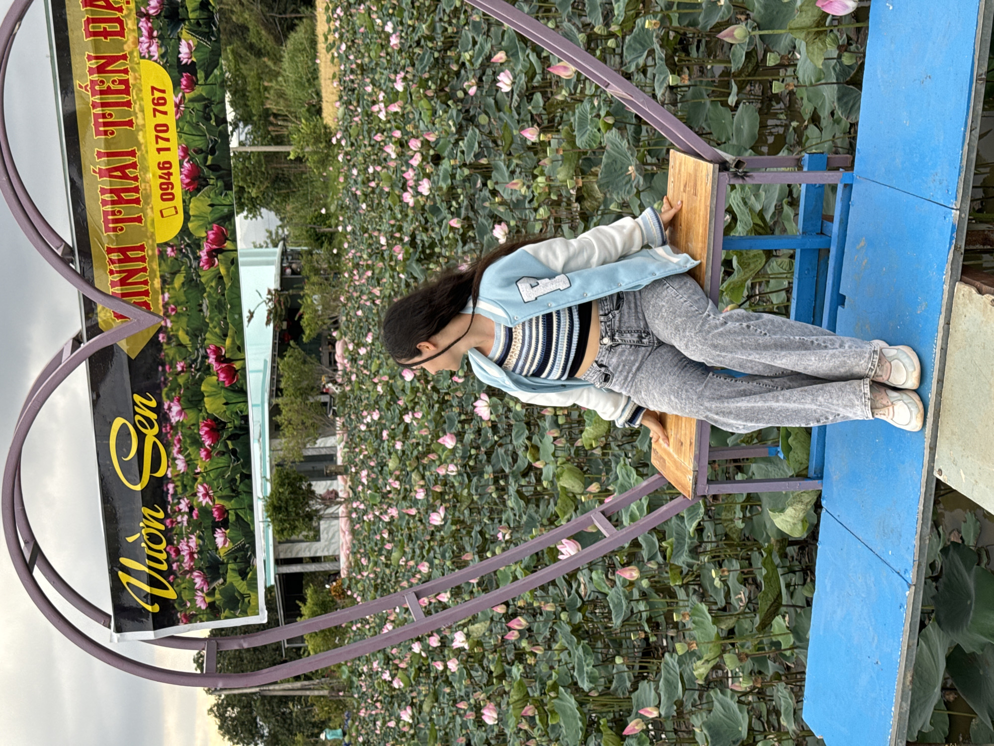 A woman in a striped top and light blue jacket sits on a blue and brown wooden platform amidst a field of lotus flowers in Hàm Thuận Bắc, Vietnam. A heart-shaped structure frames a sign that says "Vườn Sen" and lists a phone number, "0946 170 767". The background features trees and buildings, indicating an outdoor location. The woman appears relaxed as she sits on the platform surrounded by the lush floral environment.
