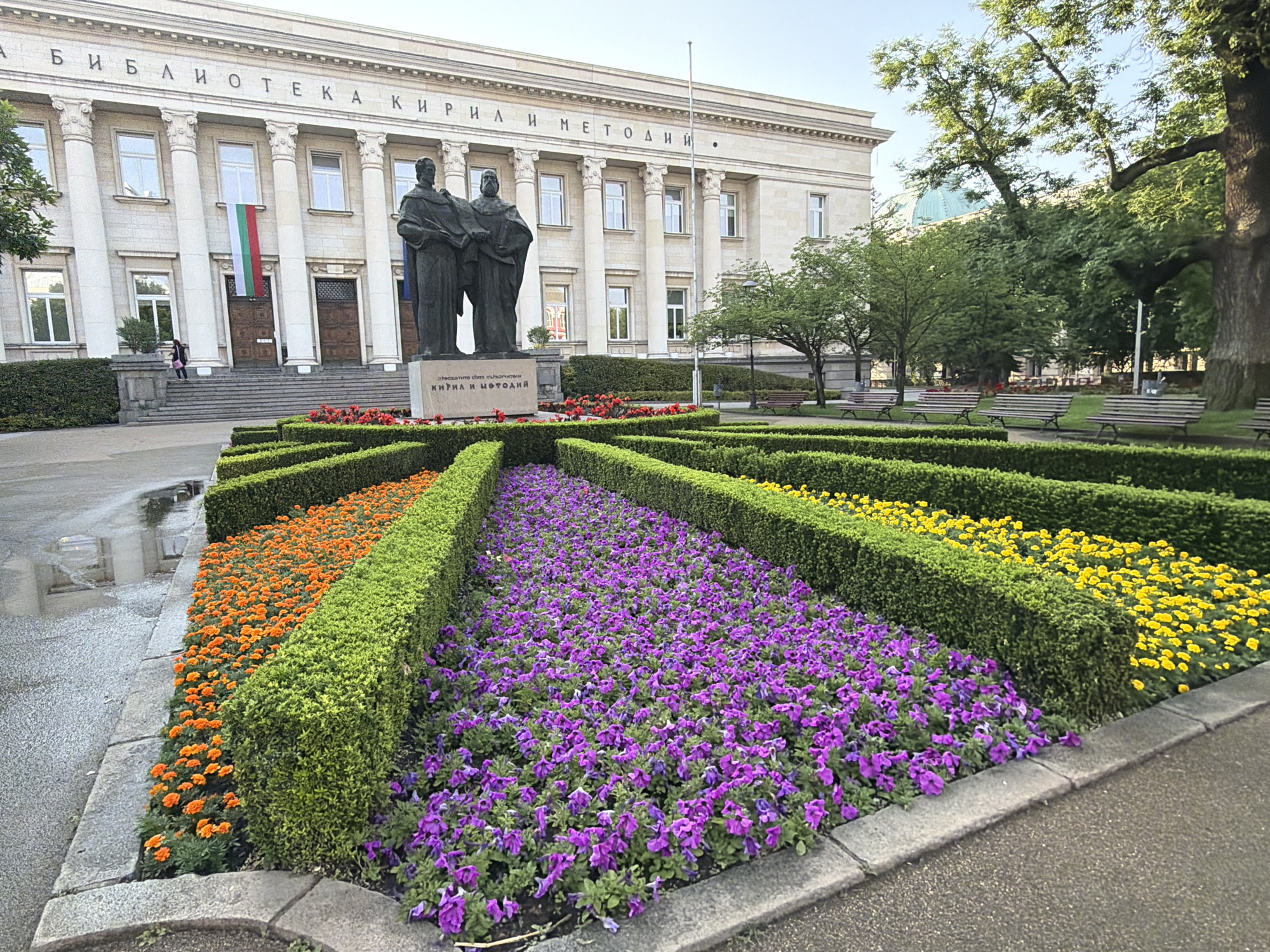 This image captures the facade of the National Library of Bulgaria "St. Cyril and Methodius" in Sofia, Bulgaria, viewed from a slightly elevated position in front of the building. The neoclassical-style library, constructed of light-colored stone, features prominent columns and multiple large windows. The inscription "БИБЛИОТЕКА КИРИЛ И МЕТОДИИ" is visible across its upper facade. A Bulgarian flag, displaying vertical white, green, and red stripes, hangs from one of the central entrances. A wide set of stairs leads up to the library's entrances, with a single person in dark clothing visible on the steps on the left side of the building.
In the mid-ground, directly in front of the library, stands a dark-colored statue of Saints Cyril and Methodius on a stone pedestal. The inscription "КИРИЛ И МЕТОДИИ" is carved into the base of the pedestal.
The foreground is dominated by meticulously maintained garden beds arranged in a geometric pattern. Three distinct rectangular sections of flowers are visible, separated by manicured green hedges. From left to right, these beds contain orange flowers, purple flowers, and yellow flowers. The paved ground to the left of the orange flower bed appears wet, showing reflections of the surroundings.
To the right of the statue and extending into the background, a park area is visible with mature trees, grassy sections, and several dark-colored park benches. A building with a green dome is partially visible through the trees in the far right background. The sky is clear and bright.