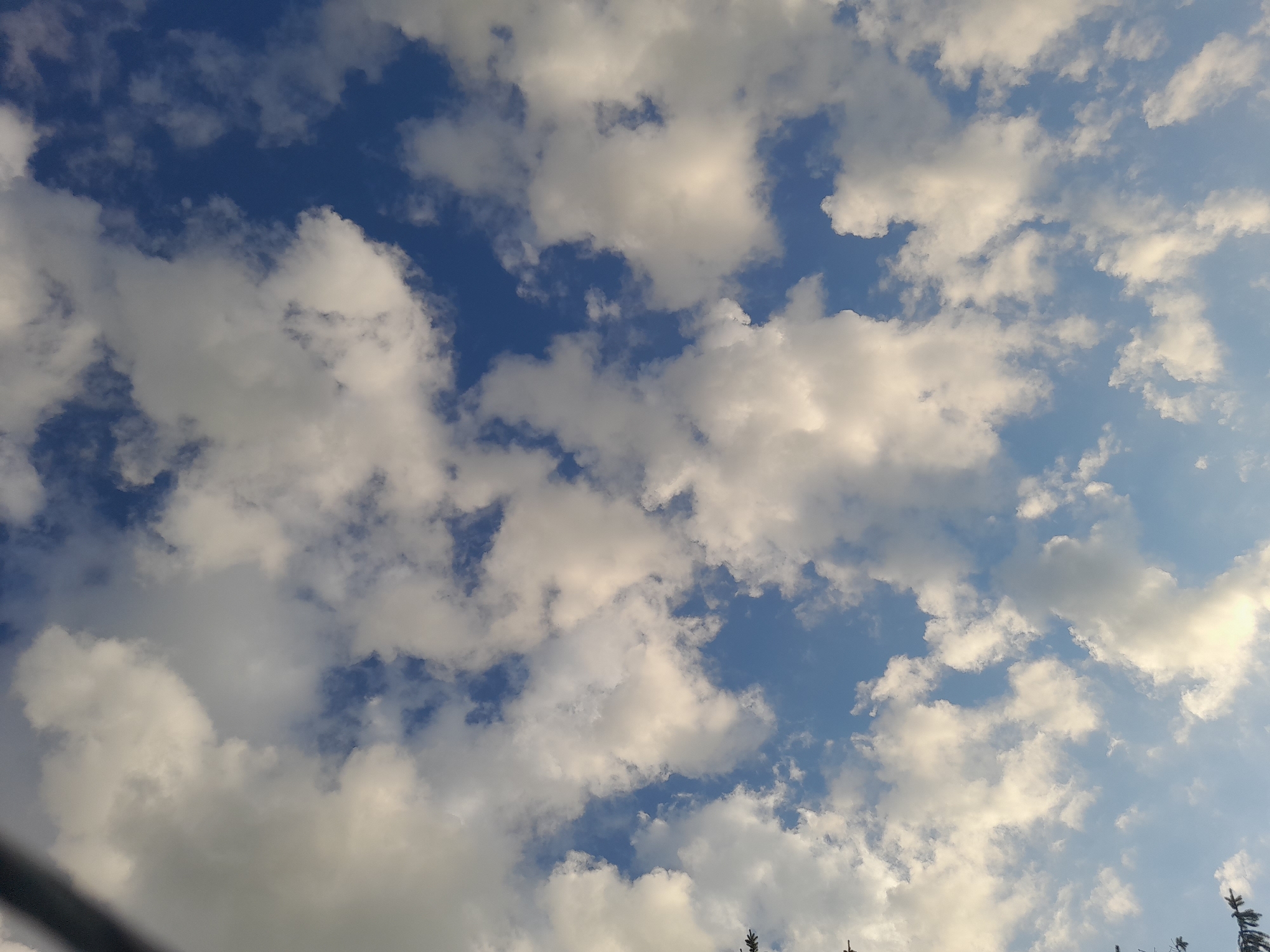 This is a photograph of a bright blue sky filled with fluffy white clouds. The clouds are scattered across the frame, with some appearing larger and more dense than others. Sunlight is illuminating the clouds, creating bright highlights and casting soft shadows, suggesting it is daytime, likely late afternoon given the warm, golden tones of some of the clouds. The image is taken from a low angle, looking upwards towards the sky. Along the bottom edge of the frame, there are hints of dark objects which may be tree branches or a fence, suggesting an outdoor setting in a natural or semi-rural environment. The overall mood of the image is peaceful and serene, evoking a sense of open space and natural beauty. There is no visible text in the image.