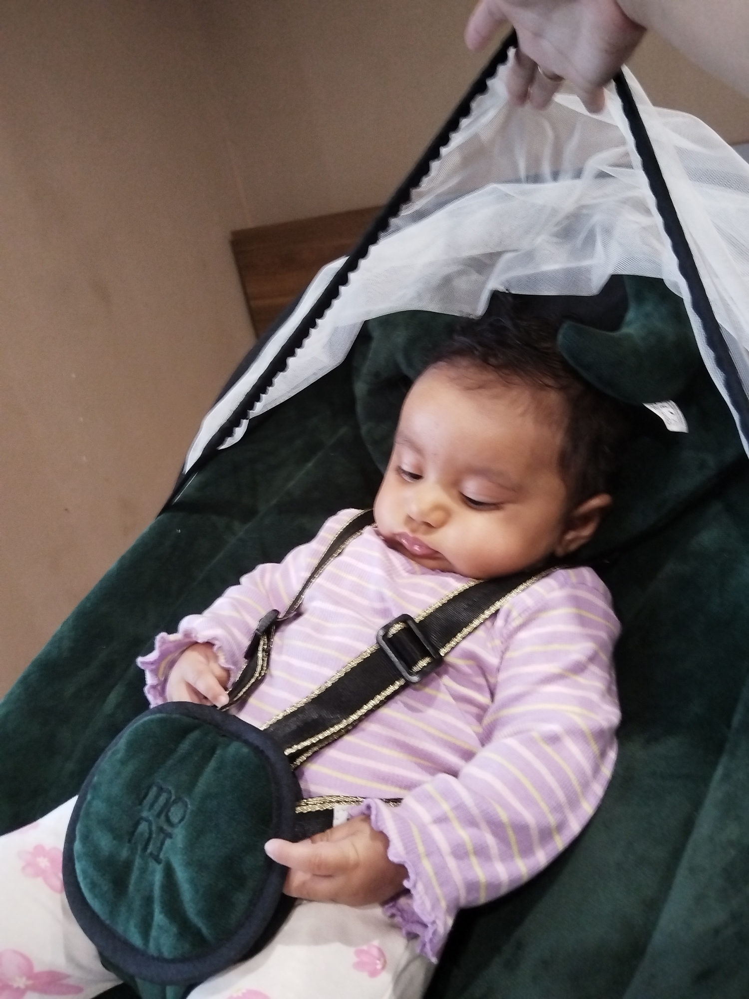 A baby is lying in a dark green bassinet with a white canopy. The baby has dark hair and is wearing a pink and white striped shirt with a black harness. The baby's hands are visible and the baby appears to be sleeping. A hand is visible at the top of the frame, holding the canopy. The background is a plain wall. The location and city are unknown.