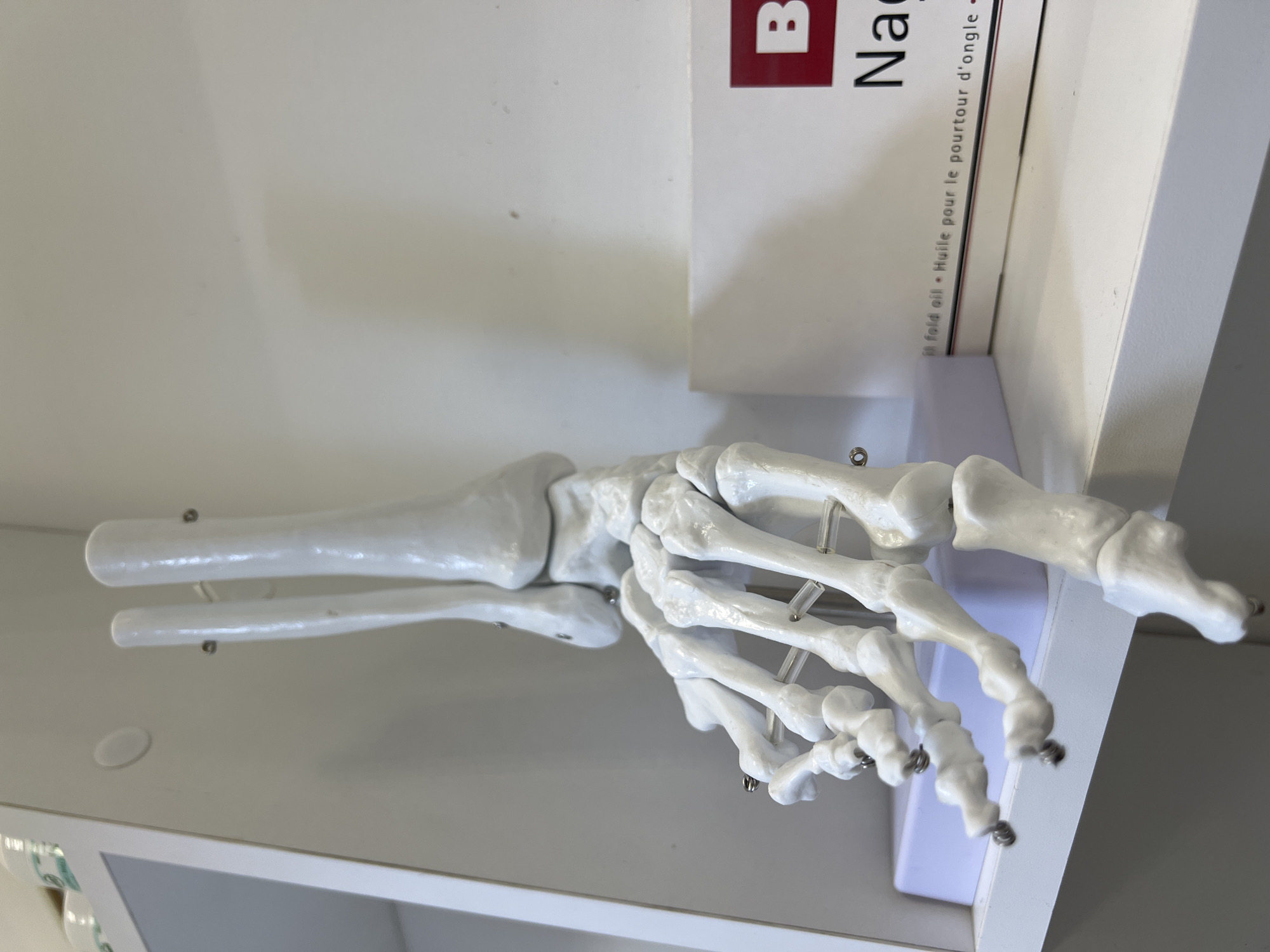 The image shows a white anatomical model of a human foot and lower leg bones placed on a white shelf. Behind the model is a white product box with red and black text, part of which reads "Na". The scene is likely indoors, given the shelving and manufactured objects. The city and state are Unknown, Unknown.