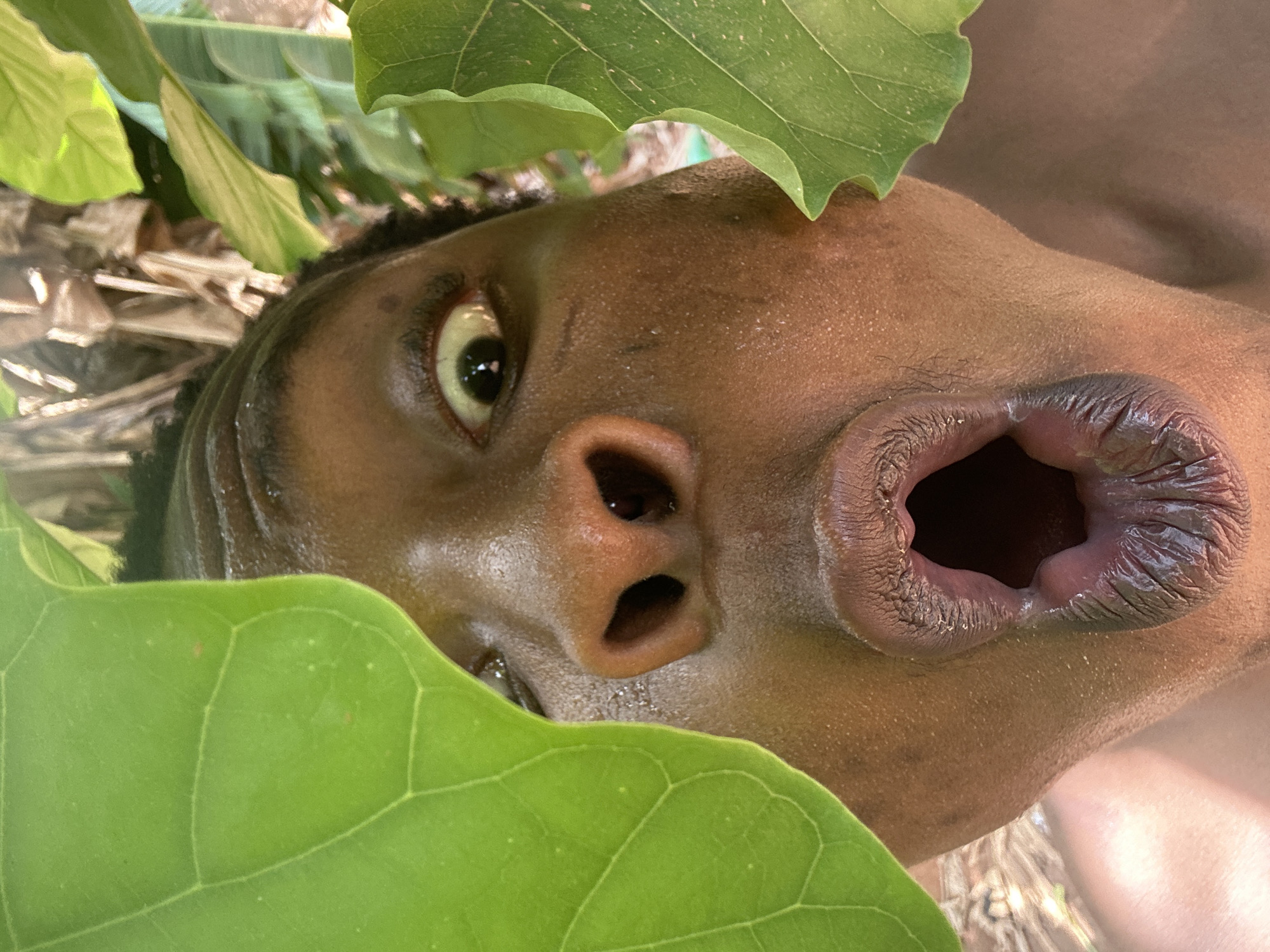 The image depicts a close-up, ground-level view of a person's face partially obscured by green leaves. The person has dark skin, a wide-open mouth, and a wide-eyed expression. The nose and one eye are visible. The surrounding environment appears to be foliage. The location is not identifiable.