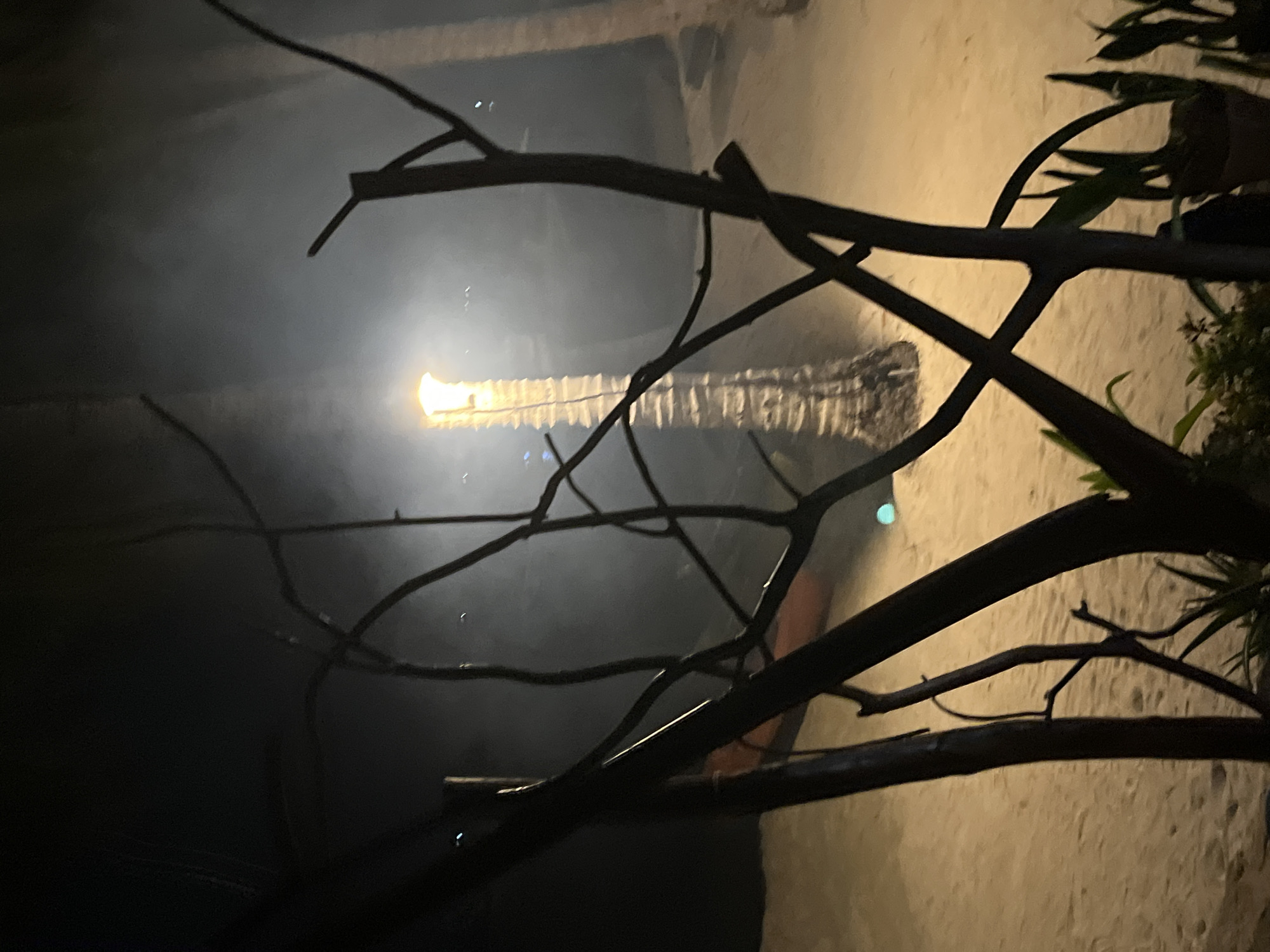 This media file depicts a tropical beach scene at night, with a strong light source illuminating a palm tree and casting shadows from silhouetted branches in the foreground. The sand of the beach is visible, with a textured wall or building in the background, suggesting a resort or coastal dwelling. The lighting creates a dramatic, somewhat mysterious atmosphere, with a mist or fog catching the light around the palm tree. The time of day is clearly night, and the overall mood is serene and possibly tranquil, despite the stark contrasts. No people are visible in the frame, nor is any text. The location cues, like the palm tree and beach, combined with the provided context of Legonipah, Indonesia, suggest a warm, possibly humid environment, common to Southeast Asia. The scene is static, with no specific activity taking place beyond the ambient lighting and natural elements. The focus is on the interplay of light and shadow on the tropical landscape.