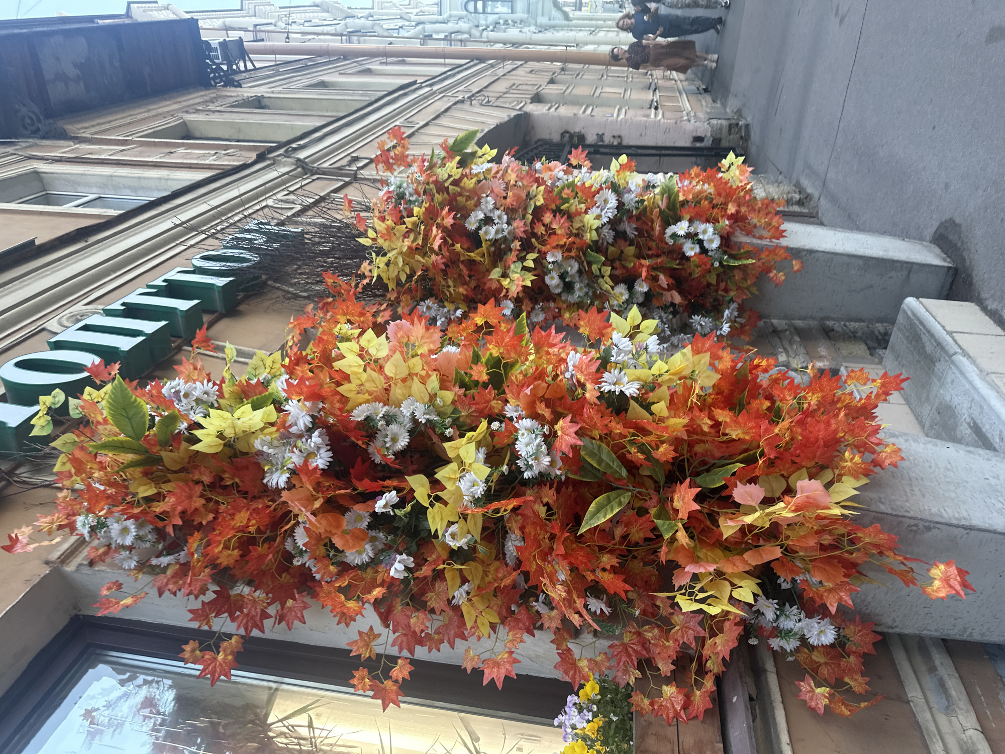 In the city of Unknown, Unknown, a storefront is decorated with autumnal artificial foliage and flowers. Two large concrete planters are filled with vibrant red, orange, and yellow artificial maple leaves, interspersed with small white artificial flowers. To the left, a window of the building reflects the sky and surrounding structures. A wooden planter with live purple and yellow flowers sits near the window. The building's facade is a muted brown with cream-colored trim around windows and architectural details. A green sign with white letters that reads "OTTO" is visible above the foliage. In the background, a sidewalk runs alongside the building, and a few people are walking. One woman in a brown dress and another in a dark top and skirt are visible, with another person to their right wearing camouflage pants. The overall scene depicts a street-level view of a building exterior decorated for autumn.