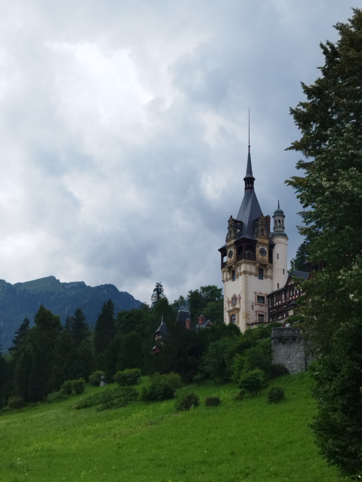 This is a photograph of Peles Castle, located in the city of Sinaia, Romania. The castle is situated on a wooded hillside, with a lush green meadow in the foreground. The sky is overcast, with dramatic clouds. The castle itself is a striking example of Neo-Renaissance architecture, with a tall, spired central tower, smaller turrets, and decorative facades. Dark green conifer trees and deciduous trees surround the castle and the hillside. In the far distance, mountains are visible. There are no apparent actions or interactions taking place. The scene is a static, picturesque view of the historic castle and its natural surroundings.