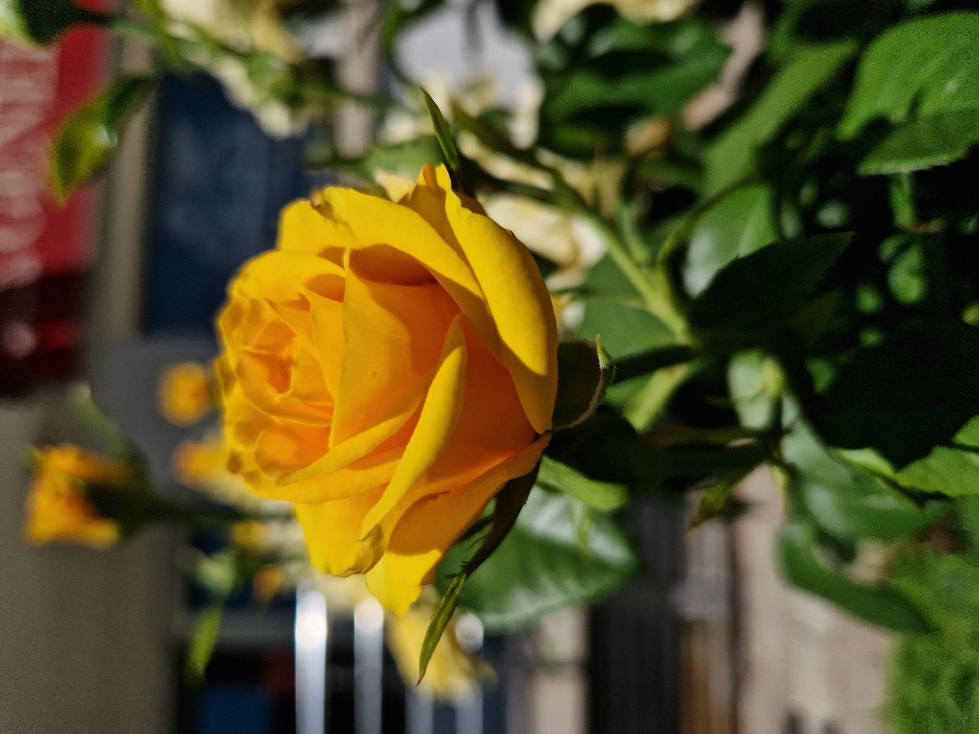 Memory