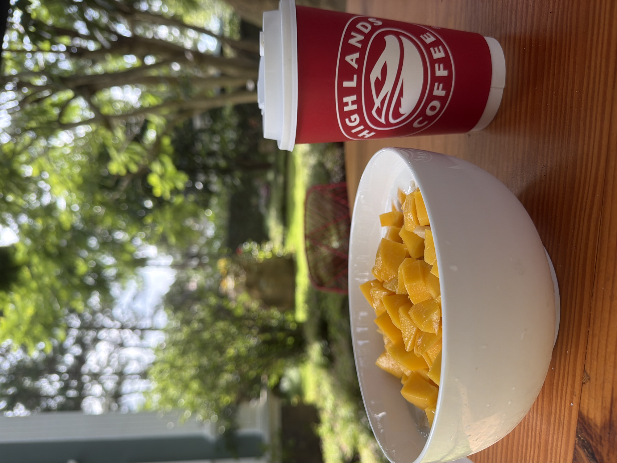 A white bowl filled with diced yellow mango sits on a wooden table, next to a red paper coffee cup with a white lid. The coffee cup has the "HIGHLANDS COFFEE" logo printed on it. The table is positioned outdoors, with a blurred background of lush green trees, grass, and a building. The scene suggests a relaxed setting in a natural environment, possibly a garden or patio area. The location is identified as Xuân Trường - Đà Lạt, Vietnam, implying a scenic and potentially cooler climate associated with this region.