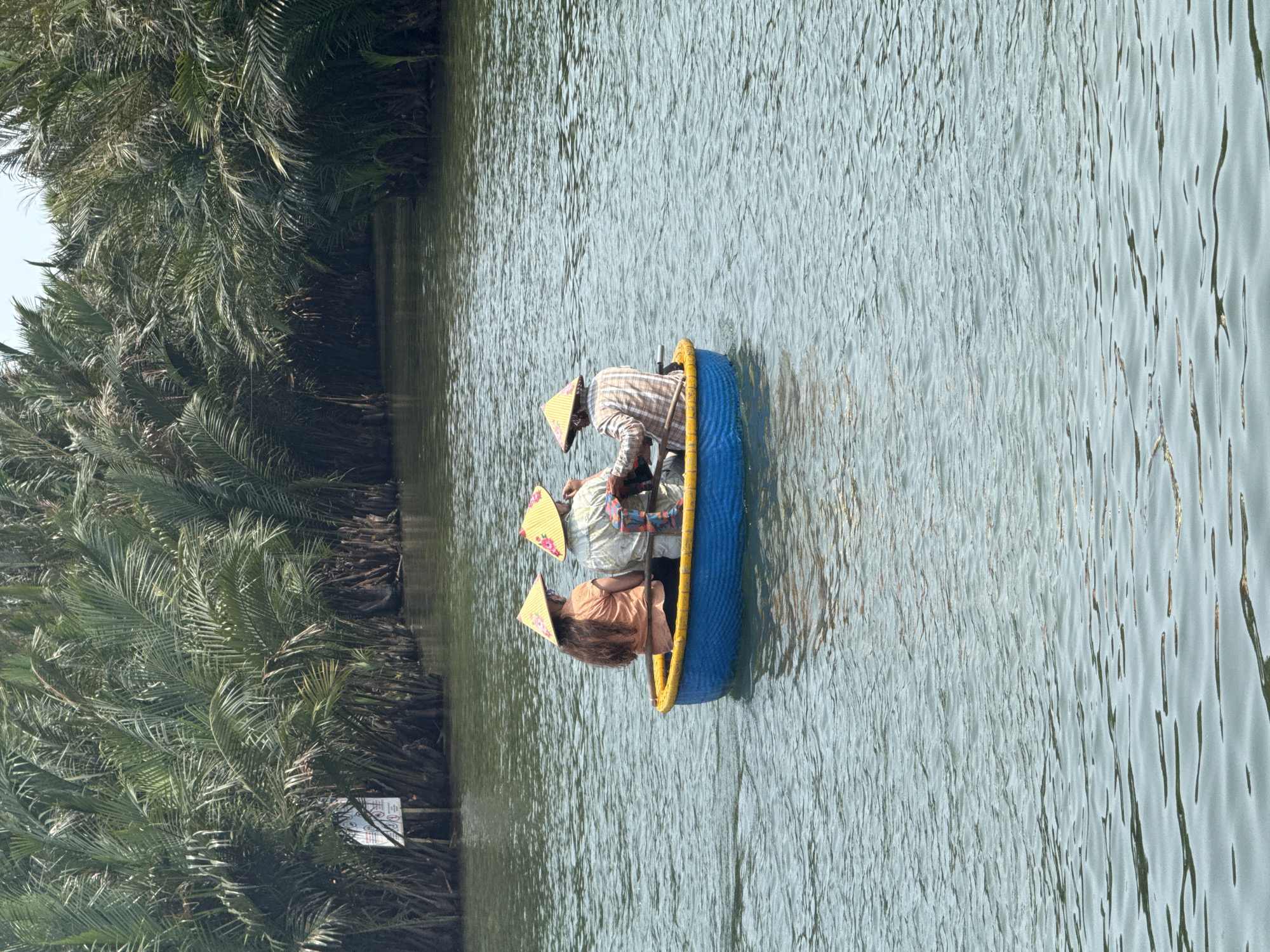Three individuals are seen navigating a tranquil waterway in a brightly colored basket boat (thúng chai), typical of Vietnam. The scene is set amidst lush, dense palm trees lining the banks of what appears to be a river or canal. This environment is consistent with the location context of Đà Nẵng, Vietnam.
All three occupants are wearing traditional Vietnamese conical hats (nón lá) with yellow tops and floral patterns. The person positioned at the front of the boat, dressed in a plaid shirt, is actively using a paddle, suggesting they are guiding or rowing the vessel. Behind them, another person wears a light-colored, patterned shirt, while the third person at the back, with long, curly hair, is dressed in a peach-colored top.
The boat itself is distinctive with its blue exterior and yellow rim. The water surface shows gentle ripples and reflections, indicating calm conditions. The dense foliage of palm trees forms a rich green backdrop on both sides of the waterway, enhancing the tropical feel. A white informational sign with some red and black graphics and illegible text is partially visible among the palm fronds on the left bank. The bright, soft lighting suggests it is daytime, likely a pleasant morning or afternoon. The overall impression is one of a peaceful leisure activity or tour, with the people enjoying the natural surroundings.
