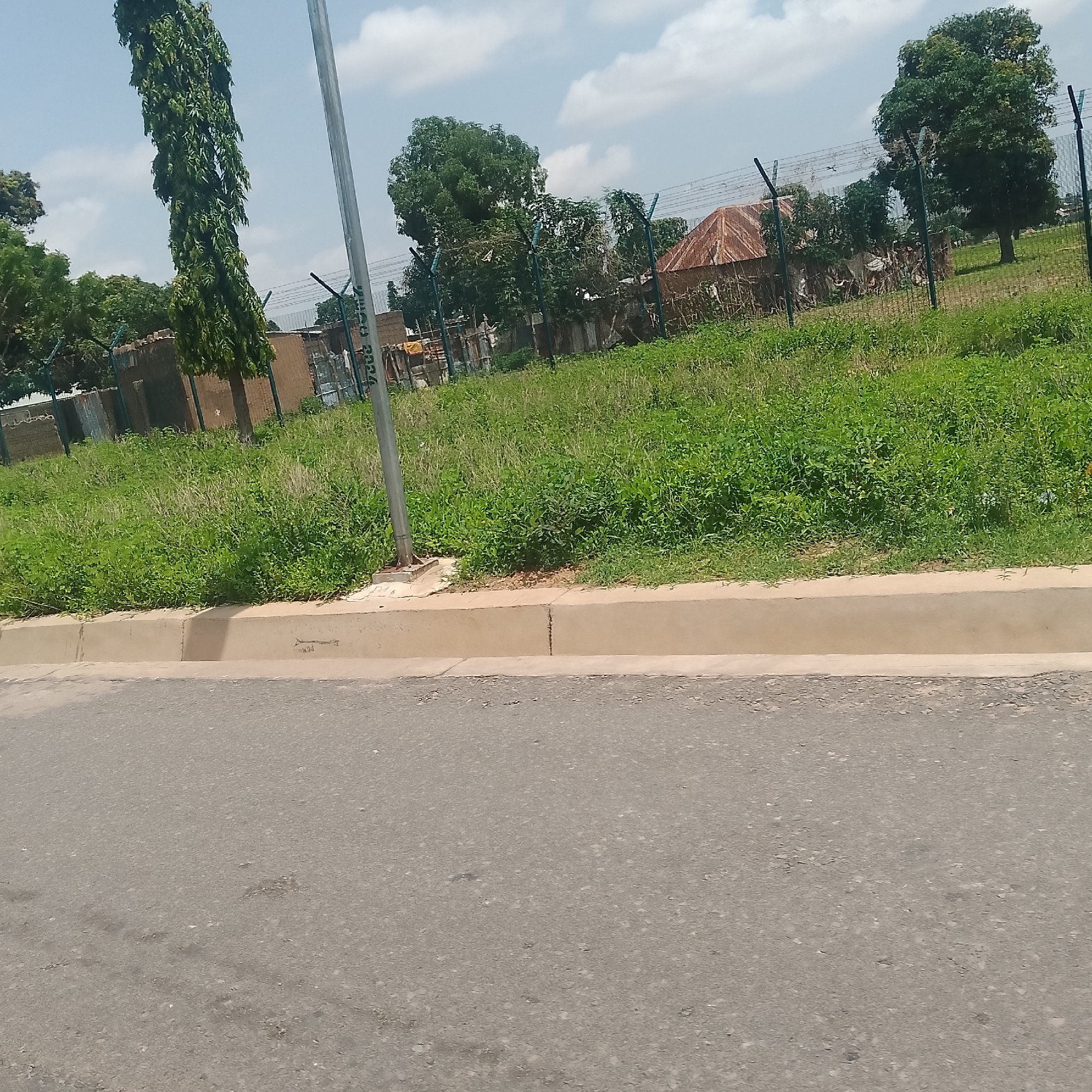 The image shows a roadside scene in Jalingo, Nigeria. In the foreground is an asphalt road. A concrete curb separates the road from a grassy embankment. Beyond the embankment is a fenced area containing structures with corrugated metal roofs, possibly residential or commercial buildings, and trees. A tall, slender tree stands to the left of the frame, and other trees are visible within and beyond the fence. A metal pole, possibly a streetlight or utility pole, is positioned near the curb. The sky is partly cloudy. The scene appears to be during daylight hours.