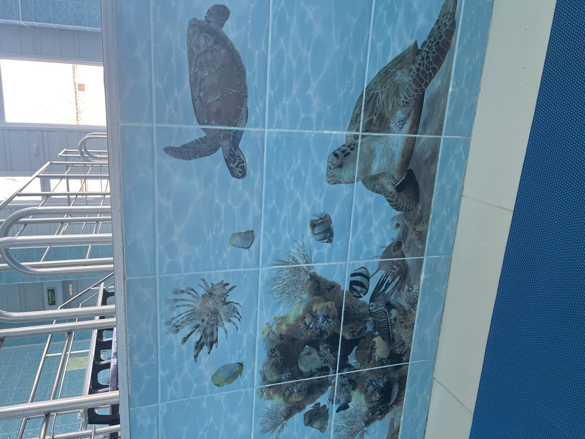 The image depicts tiled artwork of sea turtles and reef fish, likely on a wall or ceiling in the city of Ulyanovsk, Russia. The scene is from a tilted perspective, showing a staircase and a window on the left. A section of blue textured material is visible on the right.