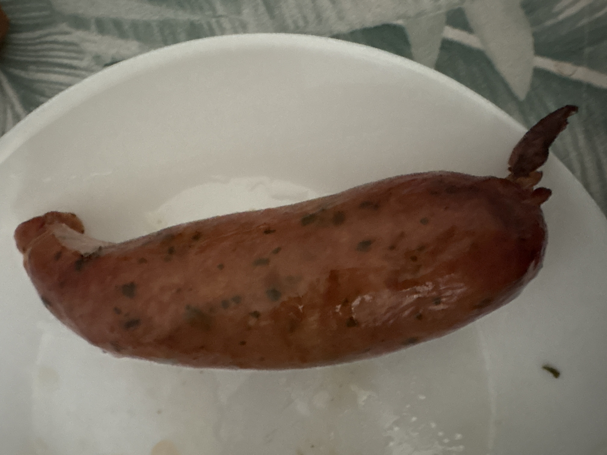 A single, plump, reddish-brown sausage with visible dark green specks is positioned diagonally on a white plate. The sausage is slightly curved, with the top end appearing thicker and the bottom end tapering to a twisted, knotted casing. The surface of the sausage has a glossy sheen, suggesting it may be cooked or oiled. The white plate is simple and undecorated, with a slight curve visible on the right side. In the lower left quadrant of the plate, a small, dark speck, possibly a crumb or debris, is present. The background shows a blurred pattern of light green and white stripes, indicative of a tablecloth or placemat. The overall scene is a close-up, overhead shot of a prepared food item. The location of Drożki, Poland, is not visually discernible from the image content.