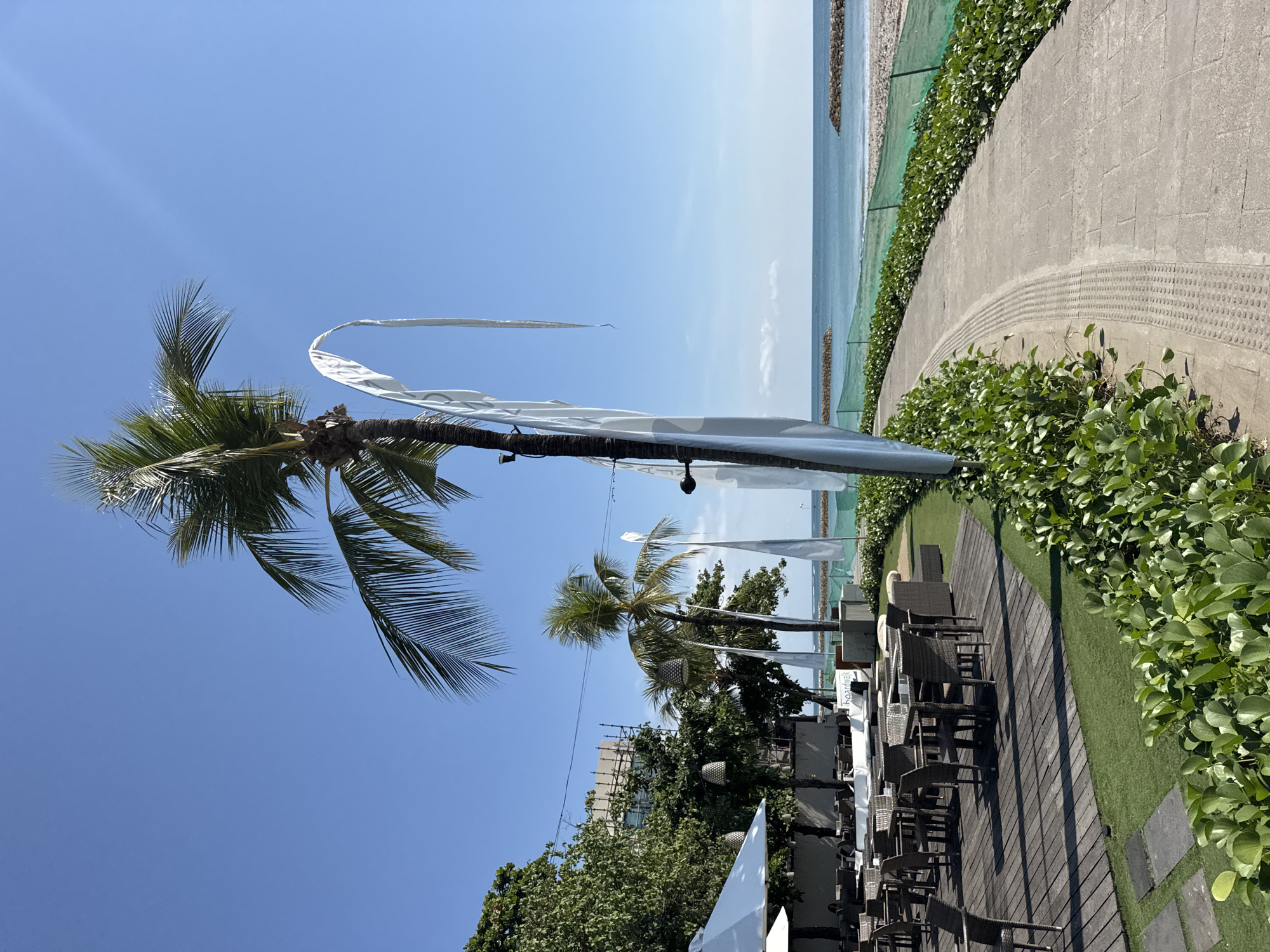 The image displays a vibrant outdoor scene on a bright, sunny day in Kuta, Indonesia. The setting is a tropical coastal area, likely a resort or beachside establishment, characterized by lush vegetation and an open view of the ocean.
In the foreground and mid-ground, several tall palm trees with green fronds stand prominently against a clear blue sky. White, flowing fabric elements are draped among the palm trees, possibly functioning as decorative sails, awnings, or sun shades. The overall ambiance suggests a leisurely tropical environment.
To the right, a structured seating area is arranged on a dark wooden deck. This area features numerous dark wicker or rattan-style chairs and tables, set up for dining or lounging. Adjacent to the deck, strips of green ground cover and artificial turf provide a verdant boundary. Beyond this, a light grey concrete pathway curves along the coastline. The pathway has textured surfaces, including raised dot patterns resembling tactile paving.
Separating the pathway from the ocean is a green net or barrier along the water's edge. The ocean itself stretches into the distance, exhibiting various shades of blue under the clear sky, indicating calm and clear waters. Several rock barriers or breakwaters are visible extending into the sea. In the far background, behind the trees and seating, a partial view of a building, possibly under construction or a larger complex, can be seen.
The time of day is clearly daylight, indicated by the strong sunlight and shadows. The weather is sunny and clear, with only a few faint clouds high in the distant sky. No people are visible in the scene, which appears to be set up for guests.
On a white sign near the seating area, the word "boardwalk" is visible, oriented vertically.