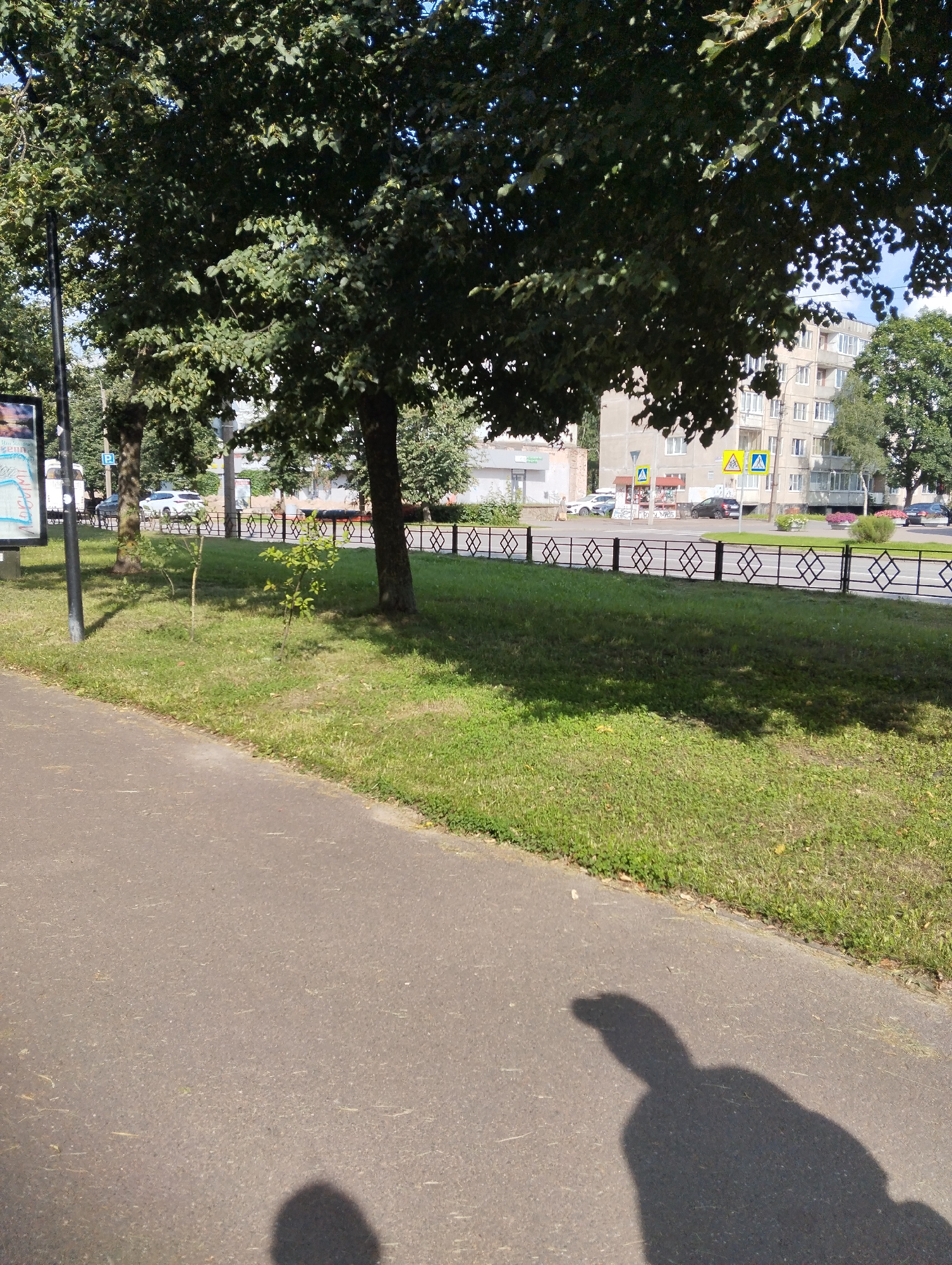An outdoor, eye-level, full-shot photograph captures a sunny day in Kingisepp, Russia, near a sidewalk and a grassy area with trees. The foreground features a paved sidewalk, with the shadow of a person casting onto it from the left. To the right of the sidewalk is a well-maintained grassy area dotted with young trees. A dark metal fence with diamond-shaped openings runs along the middle ground, separating the grassy area from a street. Beyond the fence, several buildings are visible, including a multi-story apartment building with numerous windows. Yellow traffic signs are present near the street. Vehicles are parked and moving on the street. A lamppost stands on the left side of the image, near a poster display. The sky is partially visible through the lush green leaves of a large tree in the upper portion of the image.