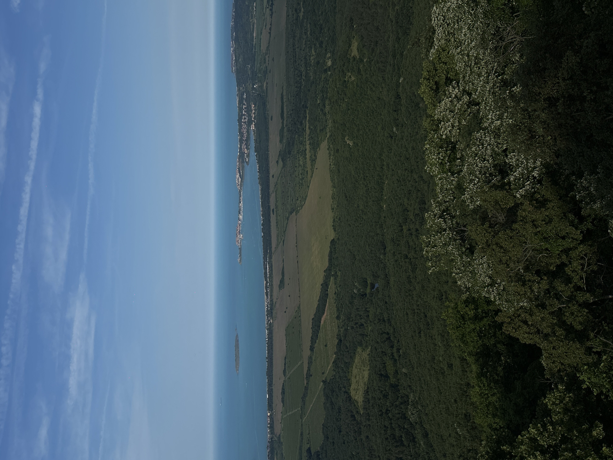 This high-angle, panoramic photograph captures a coastal landscape overlooking the Black Sea near Sozopol, Bulgaria, on a clear day.
The upper approximately one-third of the image is dominated by a bright blue sky, streaked with several thin, white contrails or wispy cirrus clouds. Faint, minute red specks are sparsely distributed across the sky, particularly noticeable in the cropped images (likely digital artifacts or distant, unidentifiable objects).
The middle ground transitions from the expansive sea to a mosaic of land features. The Black Sea, rendered in shades of turquoise near the shore and deeper blue further out, appears calm. A small, dark, uninhabited island (likely St. Ivan Island) is prominently situated in the sea on the left side. To the right, a distinctive peninsula, densely built with red-roofed structures, clearly identifies the historic Old Town of Sozopol. Along the coastline between the island and Sozopol, a string of modern settlements and buildings is visible. A faint, dark vessel is discernible on the far left horizon of the sea.
The land immediately inland from the coast consists of a patchwork of cultivated fields, varying in color from light brown to olive green, interspersed with darker green forested areas and scrubland. Geometric patterns delineate several agricultural plots. A small, dark pond or body of water is visible within a forested section in the lower mid-ground.
The foreground of the image is occupied by the dense, dark green canopy of a forest, suggesting the viewpoint is from a elevated, tree-covered hill or mountain. Some treetops exhibit lighter green or whitish foliage, indicating flowering or new growth. No people or specific actions are discernible within the frame.