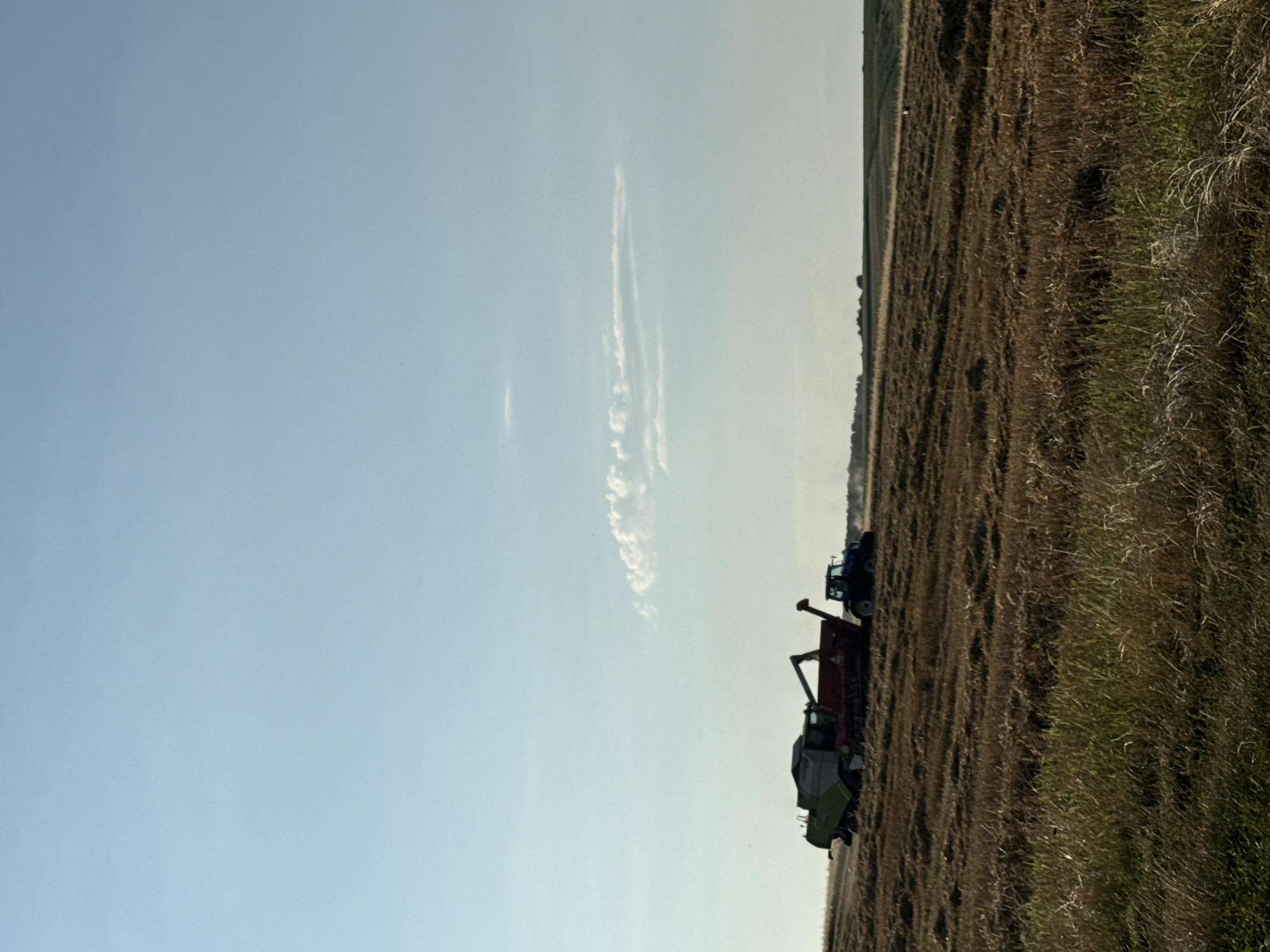 This is a full, eye-level, outdoor shot of a farm field in Unknown, Unknown. Two pieces of agricultural machinery, a combine harvester and a tractor, are actively harvesting crops. The combine is green and red, while the tractor is dark blue. They are positioned on a harvested field of dry, brown stubble, with some patches of tall green grass in the foreground. In the background, there is a faint line of trees and rolling hills under a clear, pale blue sky with wispy white clouds. The lighting suggests it is daytime, possibly late afternoon, given the angle of the sun and the gentle shadows.