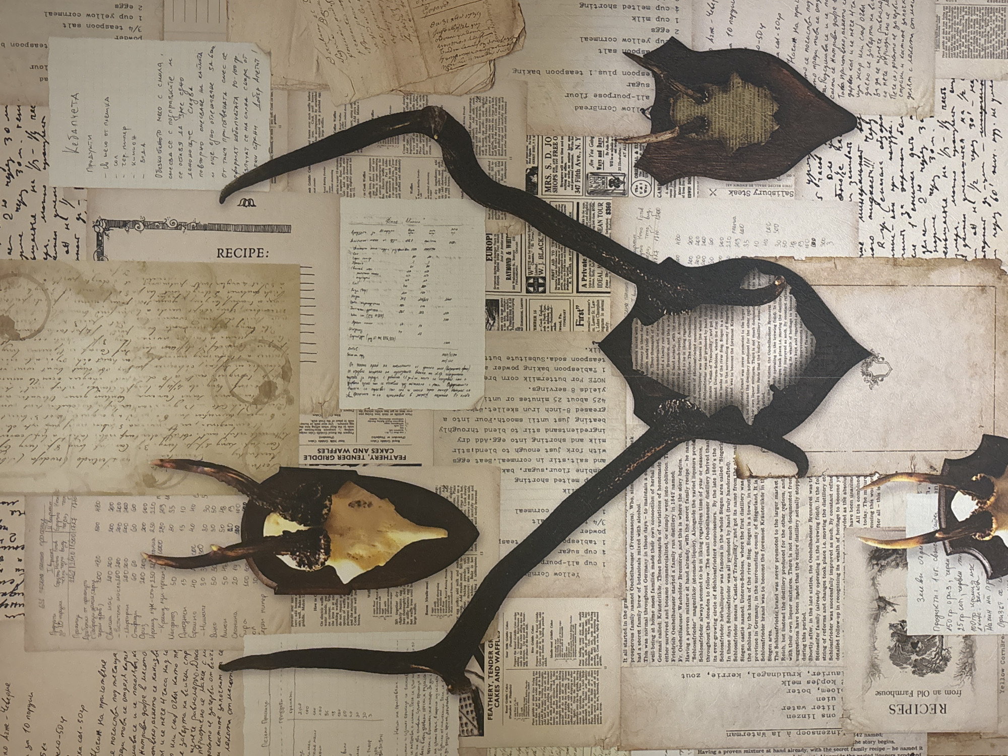 The image is a collage on a background of vintage papers including handwritten notes, recipes, and advertisements. Overlapping the papers are three sets of deer antlers, mounted on wooden shields. The antlers are dark, contrasting with the lighter paper background. The collage is displayed indoors, with diffused lighting. The location of the image is in an unknown city and unknown region.