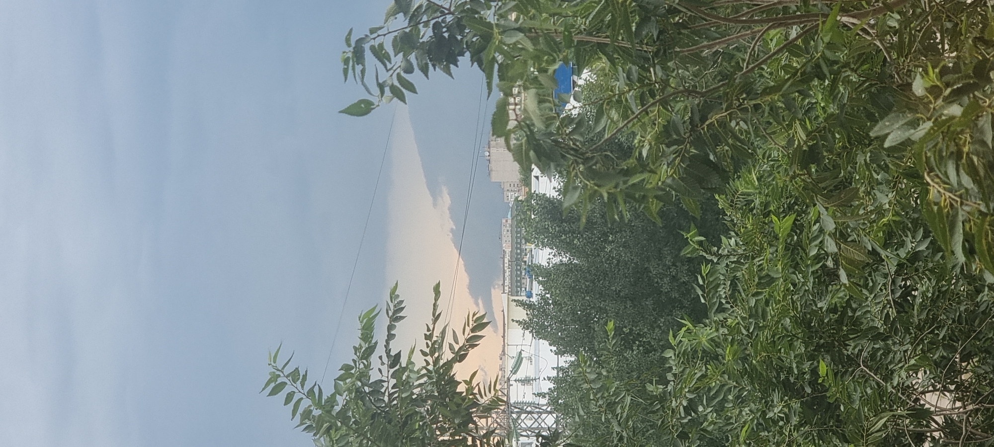 This image captures a panoramic view of a city, likely Aktobe, Kazakhstan, under a cloudy sky. In the foreground, dense green foliage of trees and bushes partially obscures the view of the urban landscape. Various buildings, including what appear to be residential complexes and industrial structures, are visible in the middle ground. One prominent structure resembles a modern shopping center or warehouse with a white roof and blue accents. Power lines and electricity pylons are also present, suggesting the presence of infrastructure. The sky is overcast with dark clouds, indicating potentially inclement weather, though there is a subtle hint of sunlight breaking through in the distance, casting a soft, diffused light on the scene. The overall impression is one of a moderately developed urban area surrounded by vegetation, seen from a slightly elevated viewpoint. There are no people or animals visible in the image.